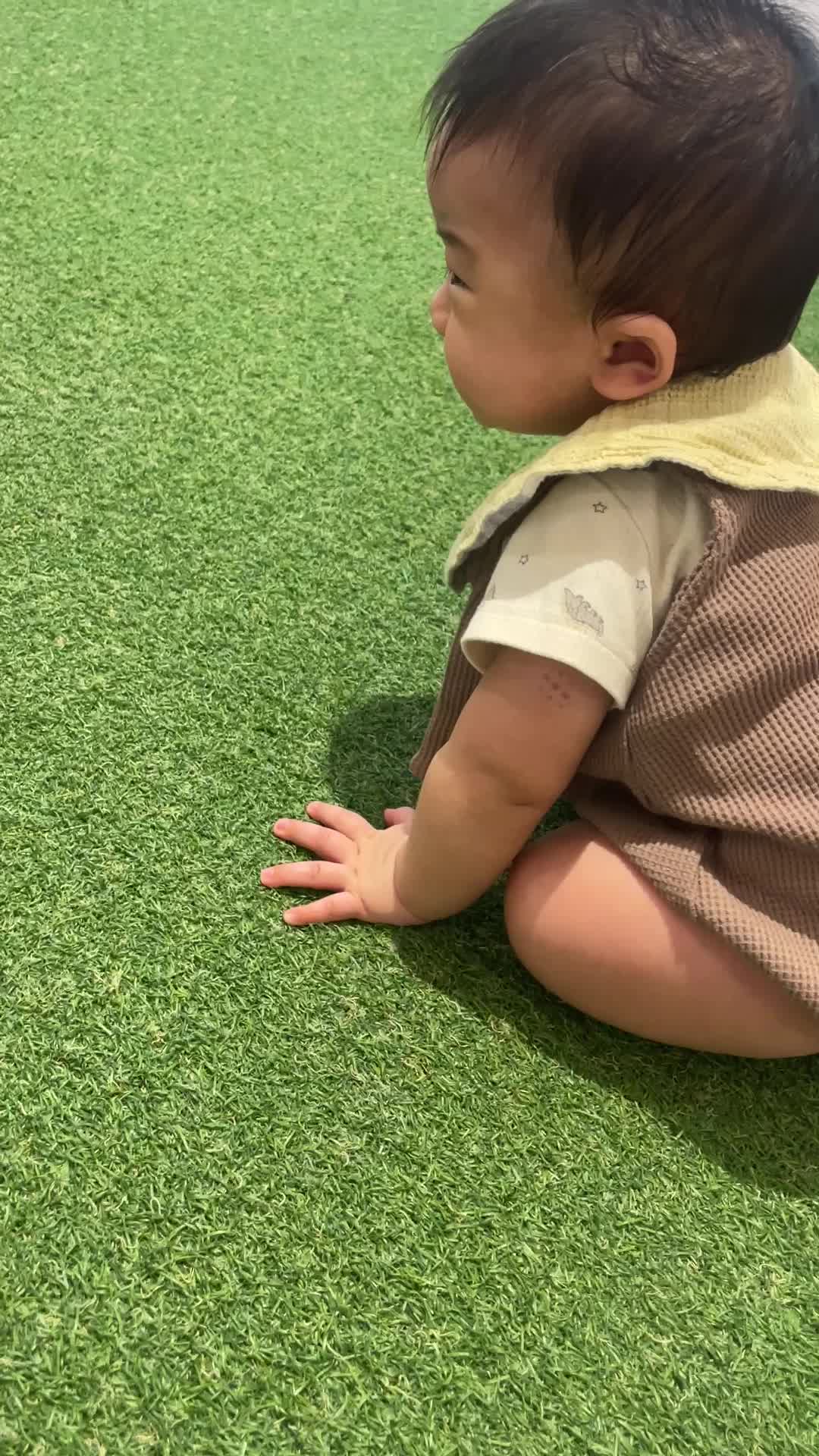 芝生に戸惑うゆゆ