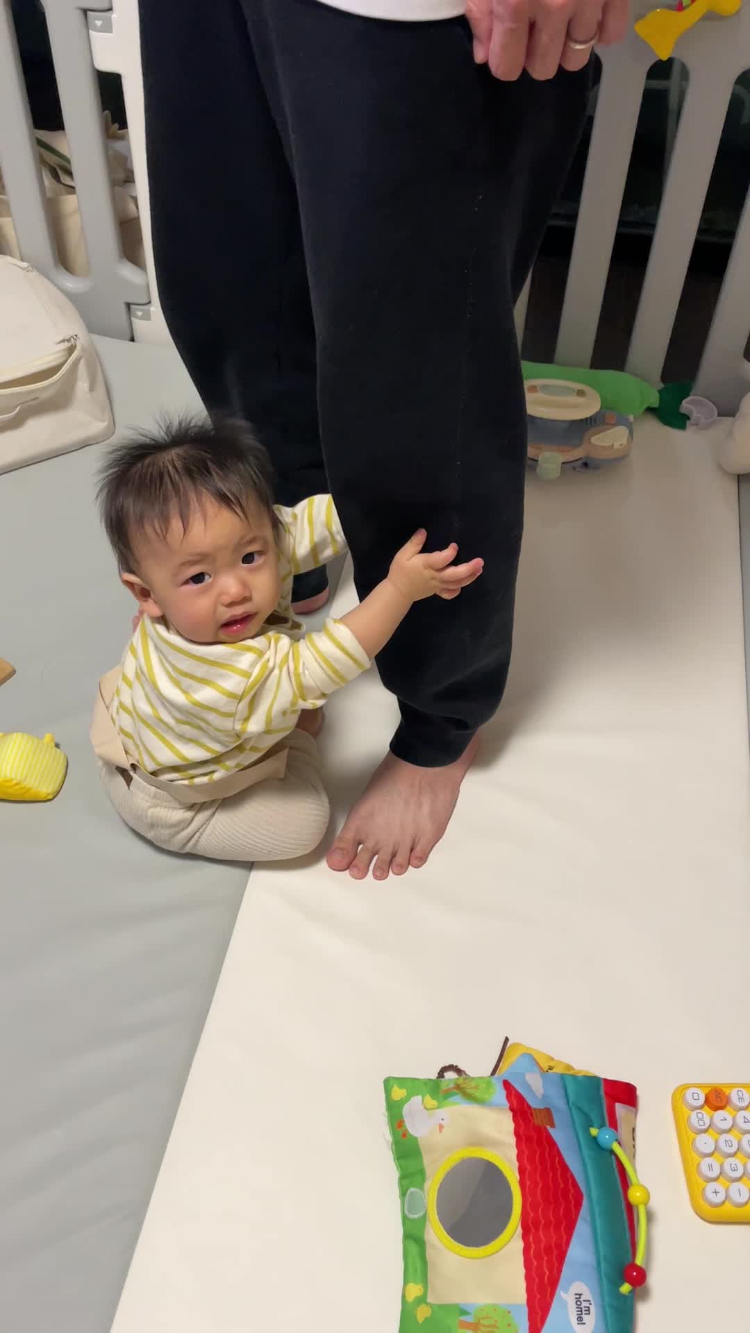 抱っこしろゆゆ