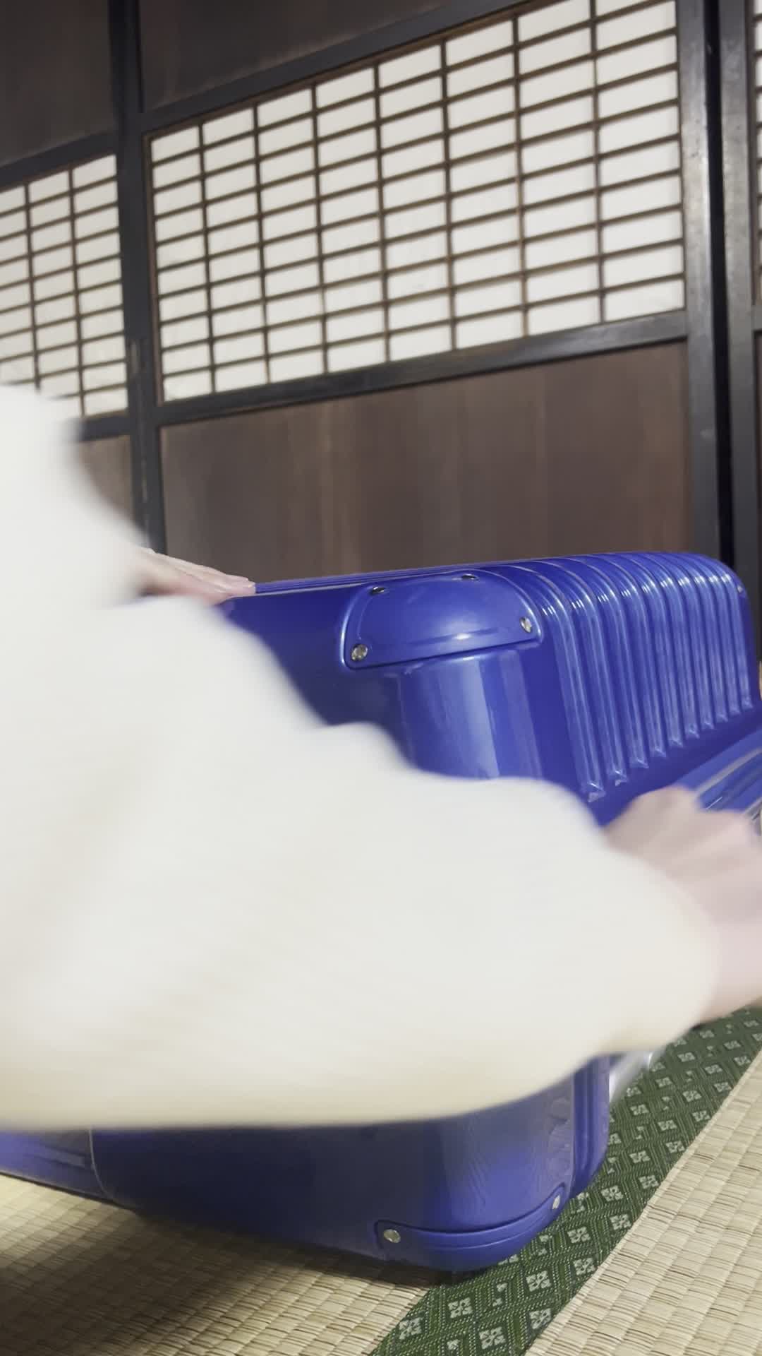 スーツケースを開ける手元