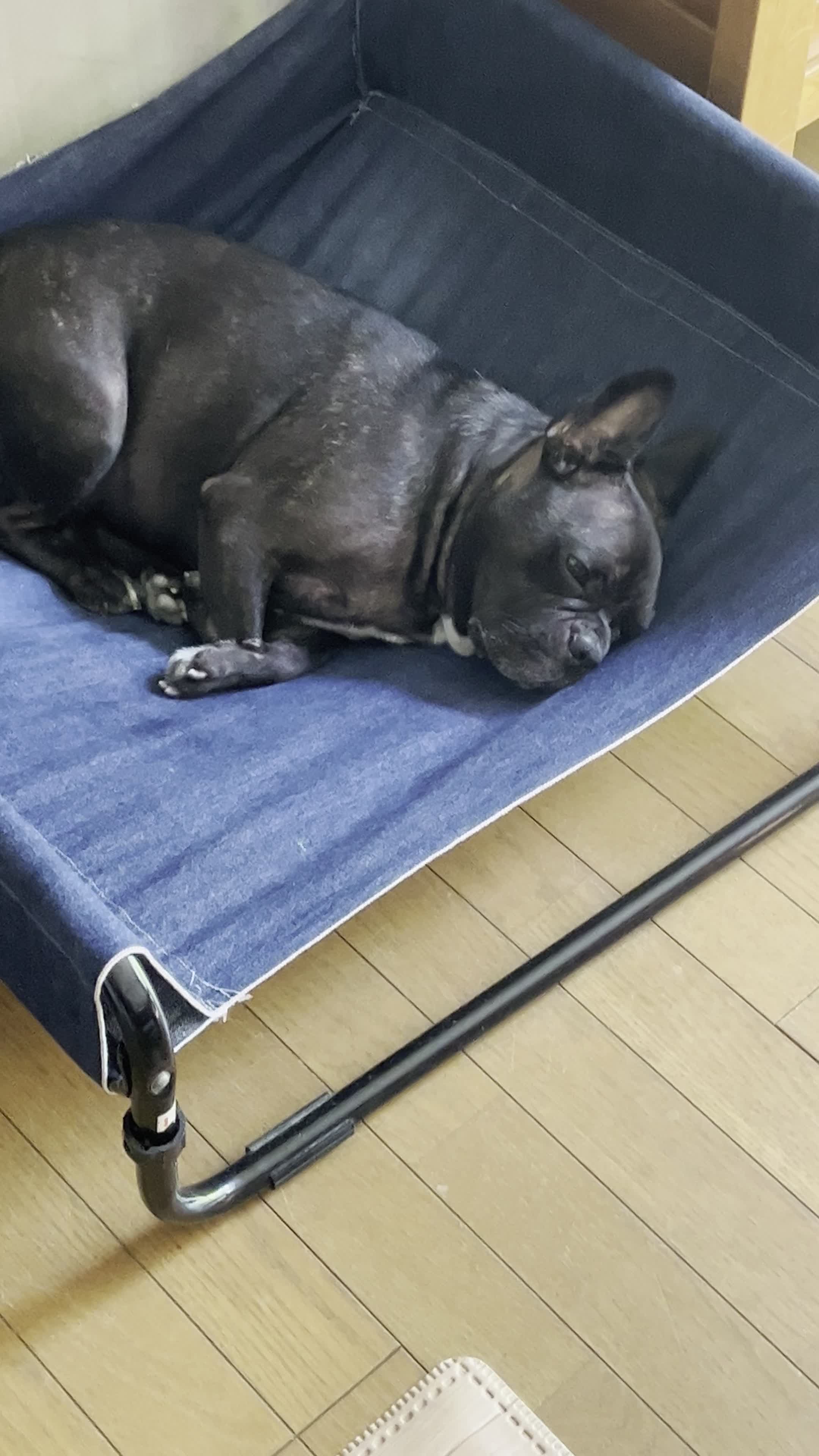 寝るかぶと