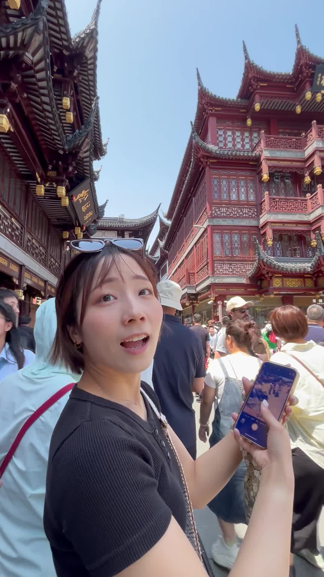 圧巻の景色に感動