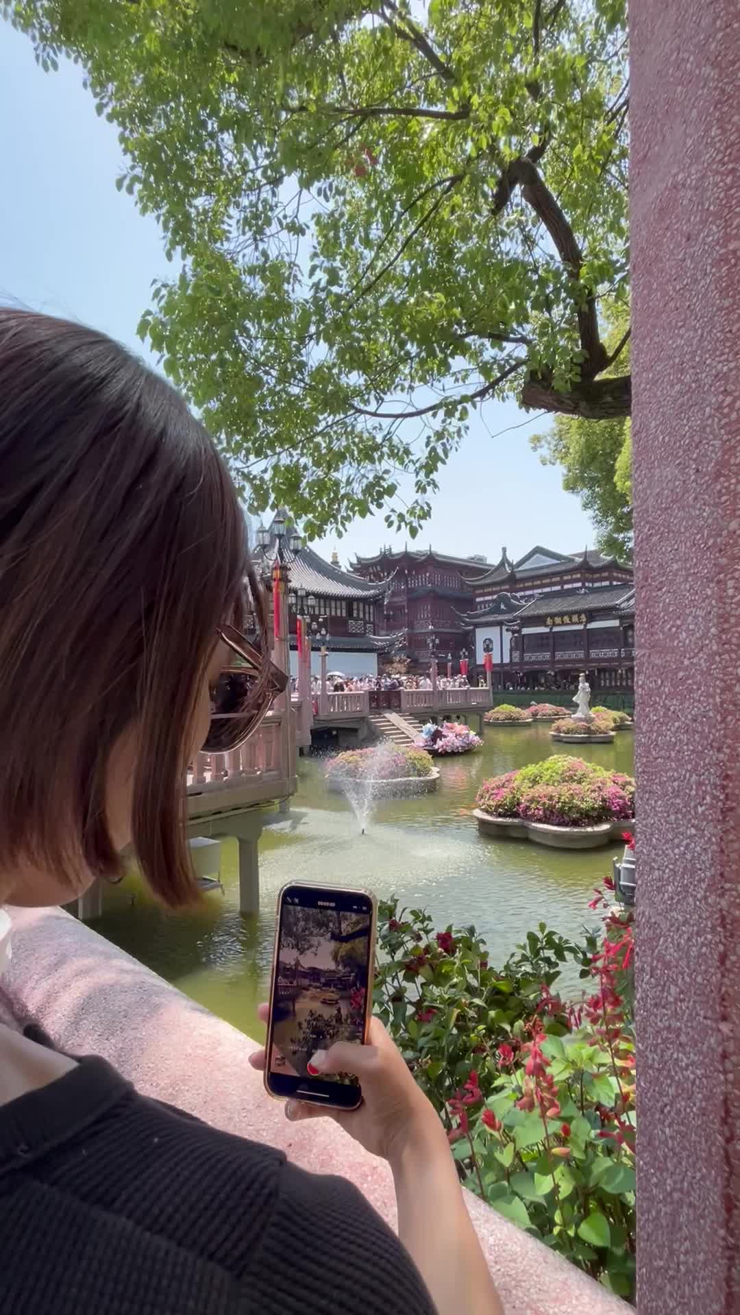 景色を撮影する様子