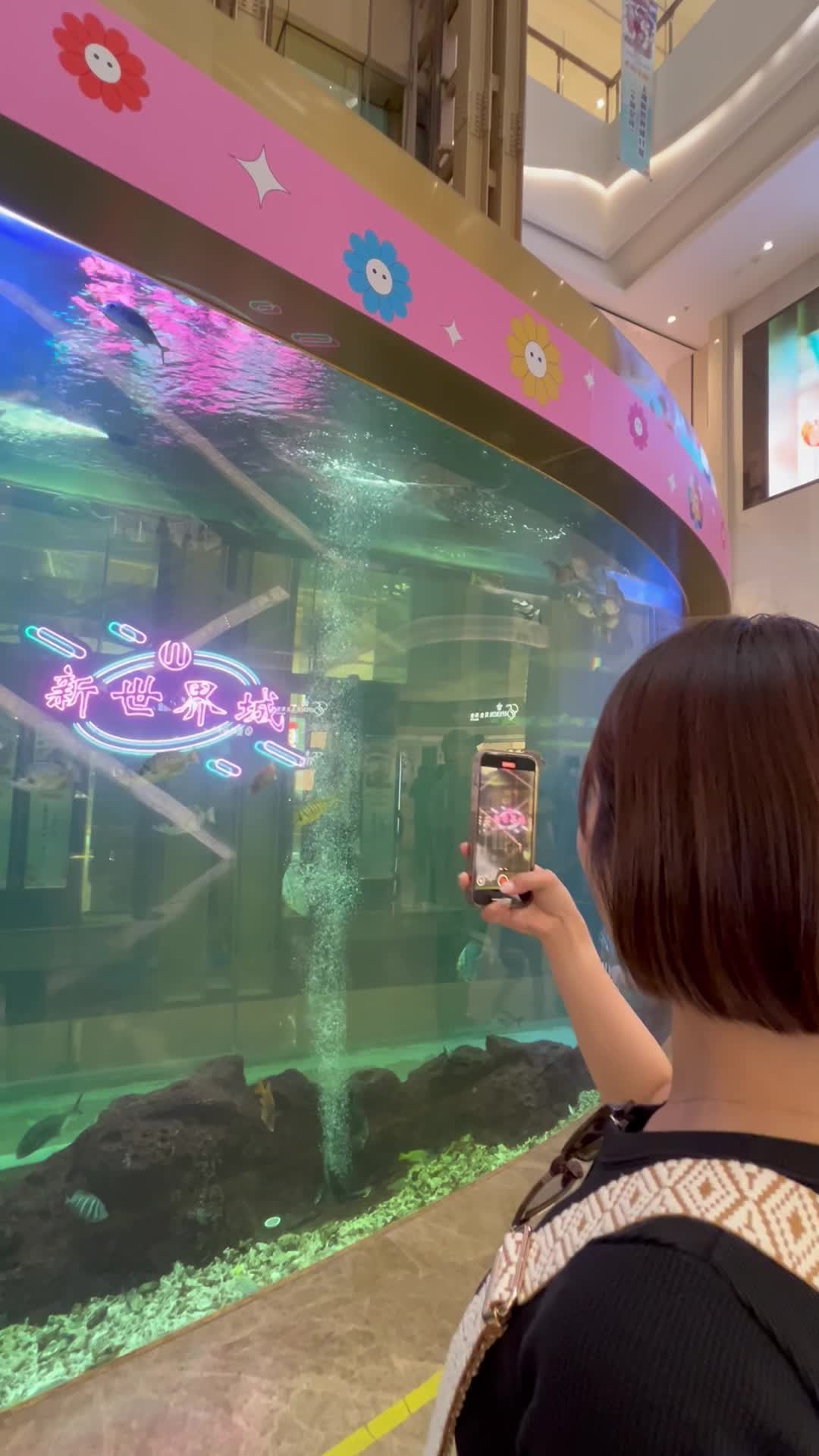 水槽を撮影する様子