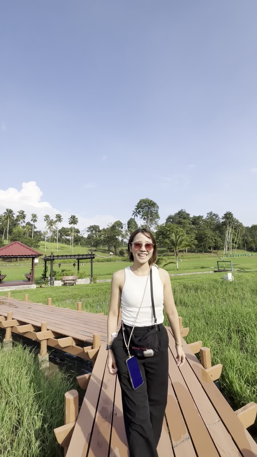 カメラに向かって歩く様子