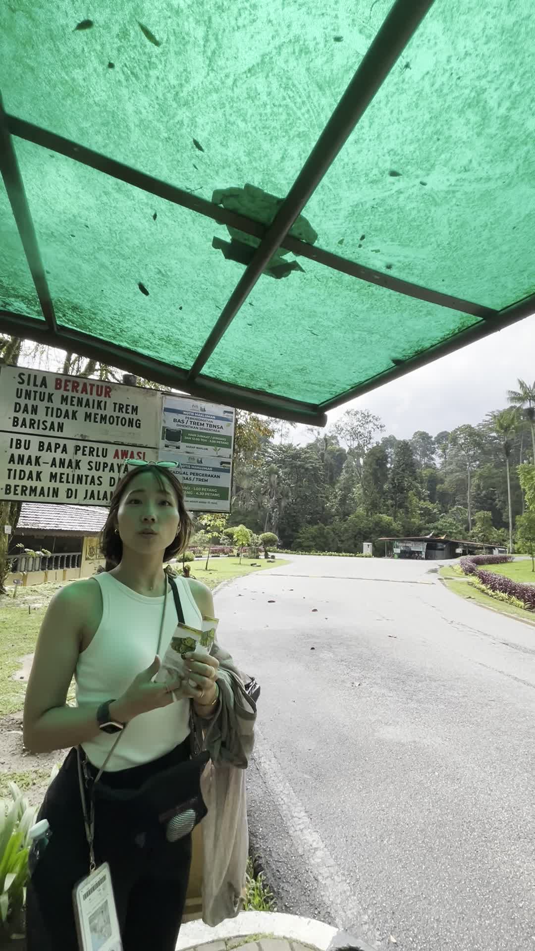 バスを待つ様子