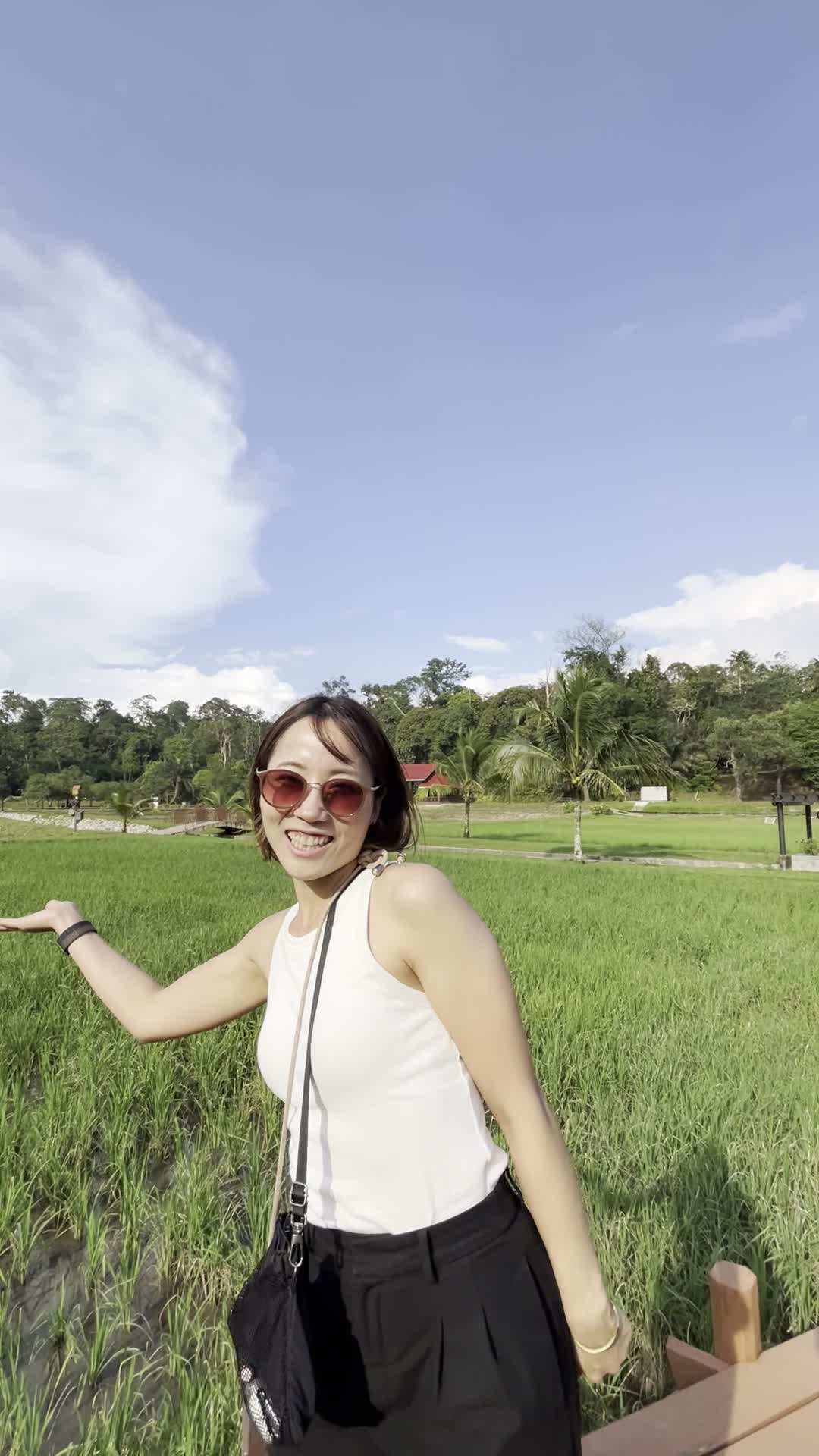 稲を紹介する様子