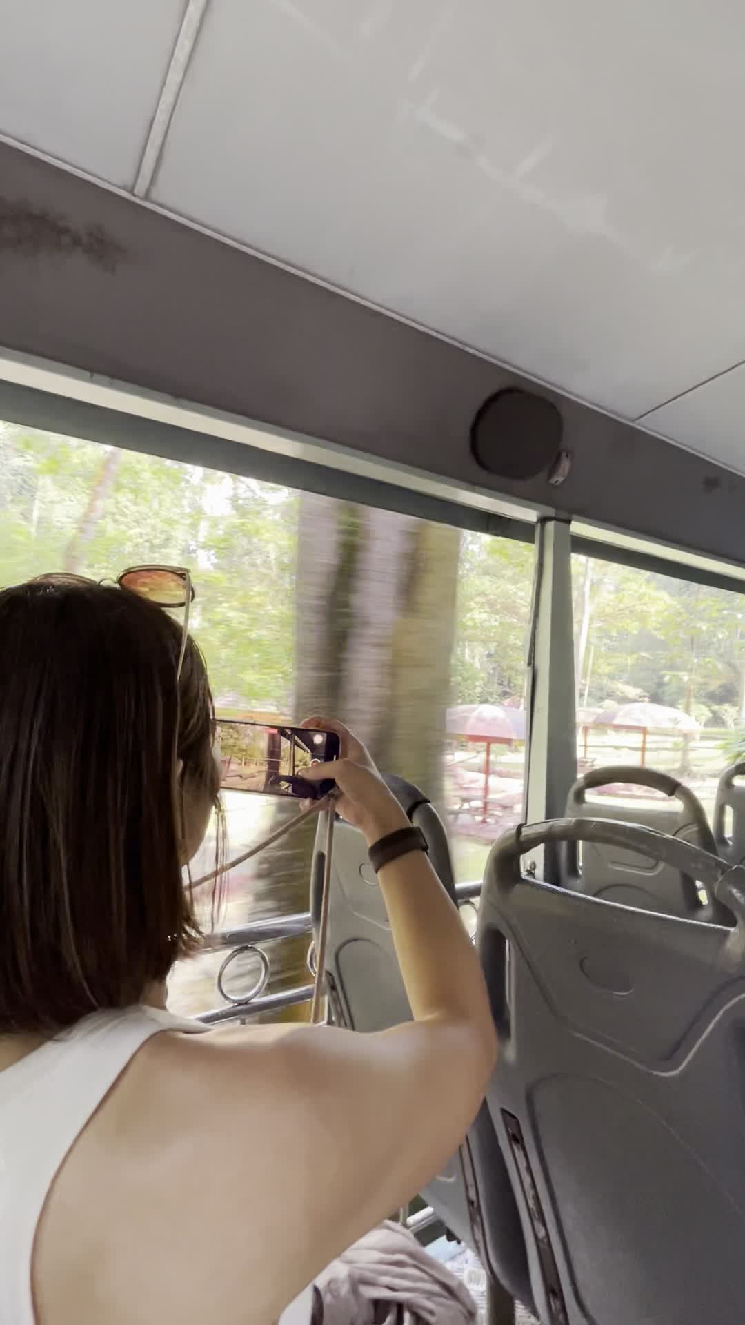 車から景色を撮影する様子