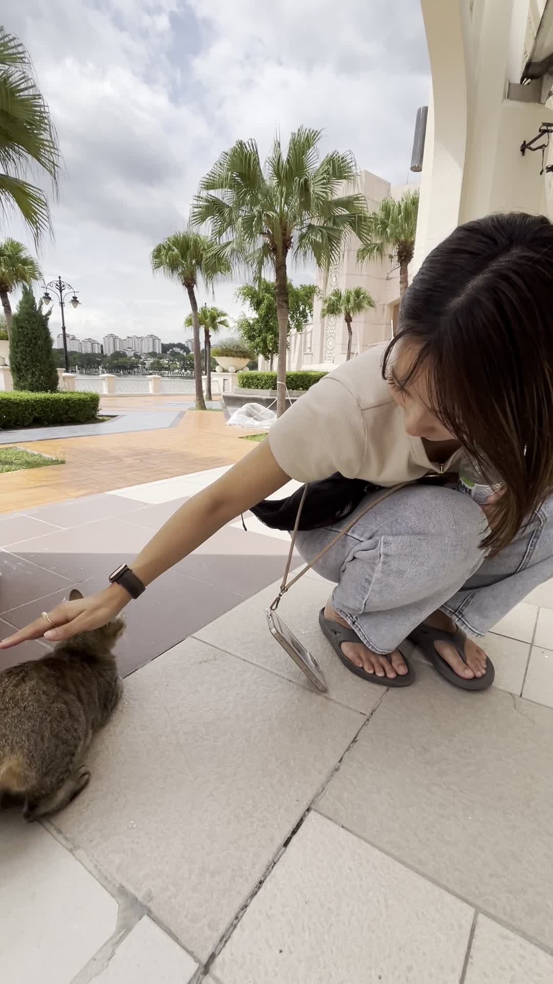 猫をなでる様子2