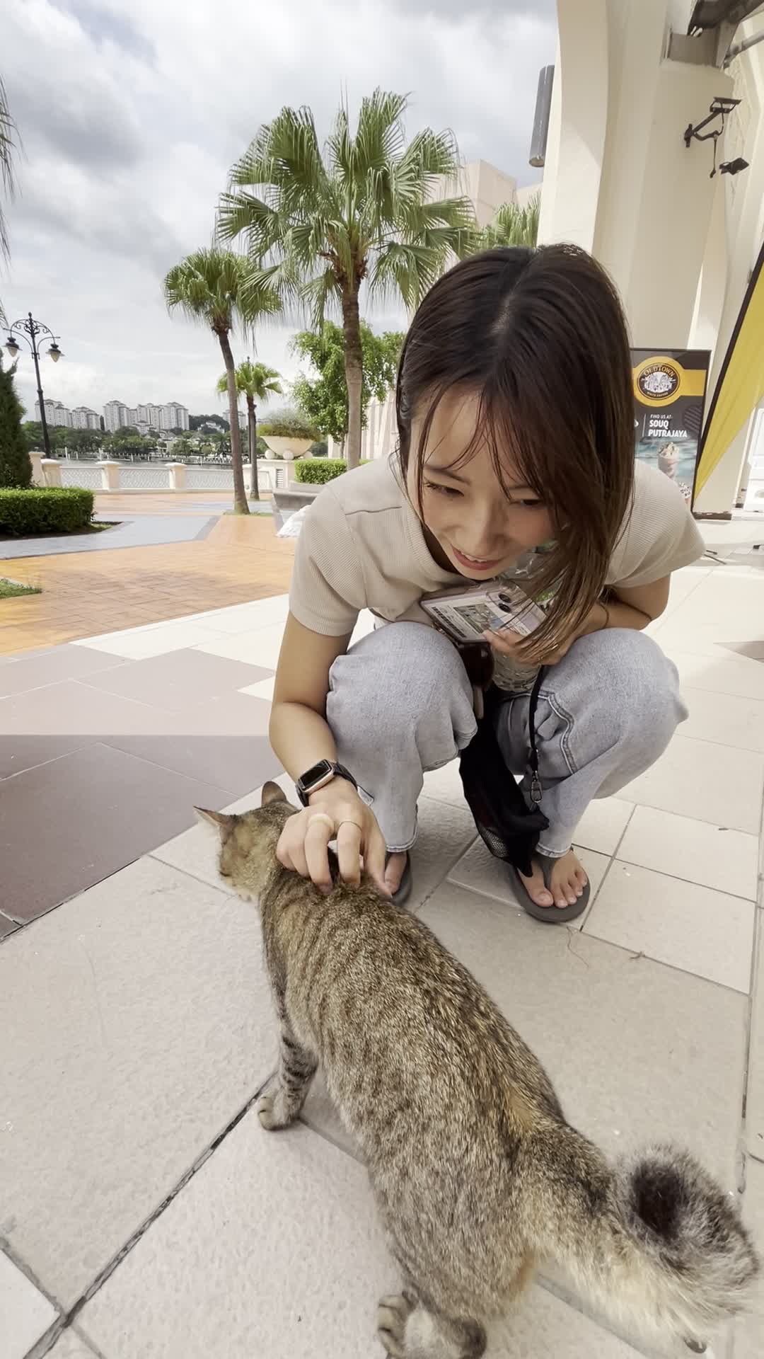 猫をなでる様子3