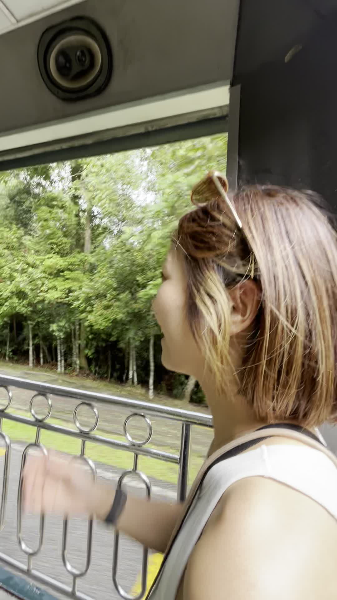 風に揺られる様子