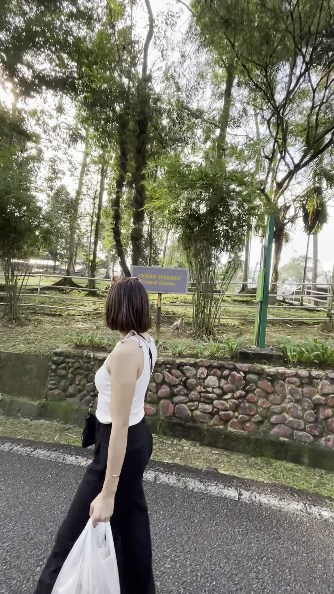 歩きながら看板を読む様子