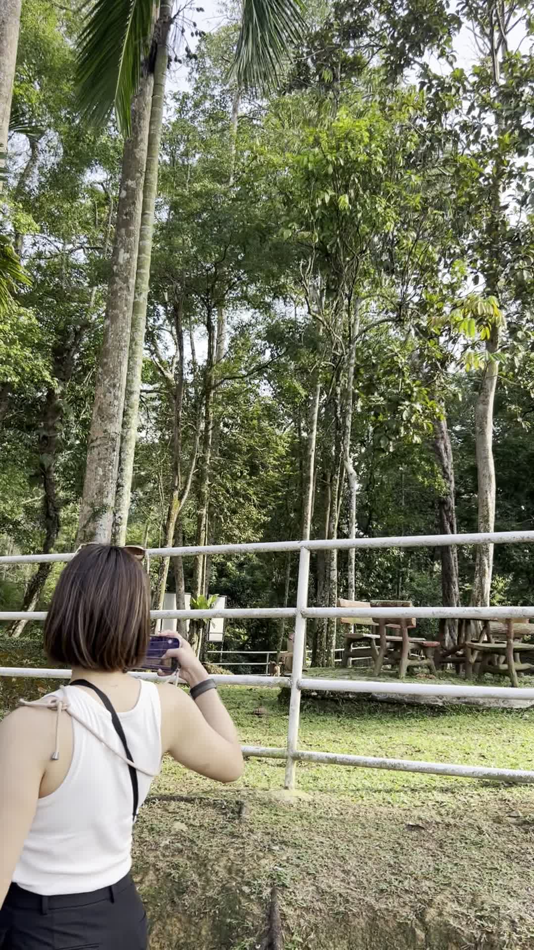 歩きながら撮影する様子