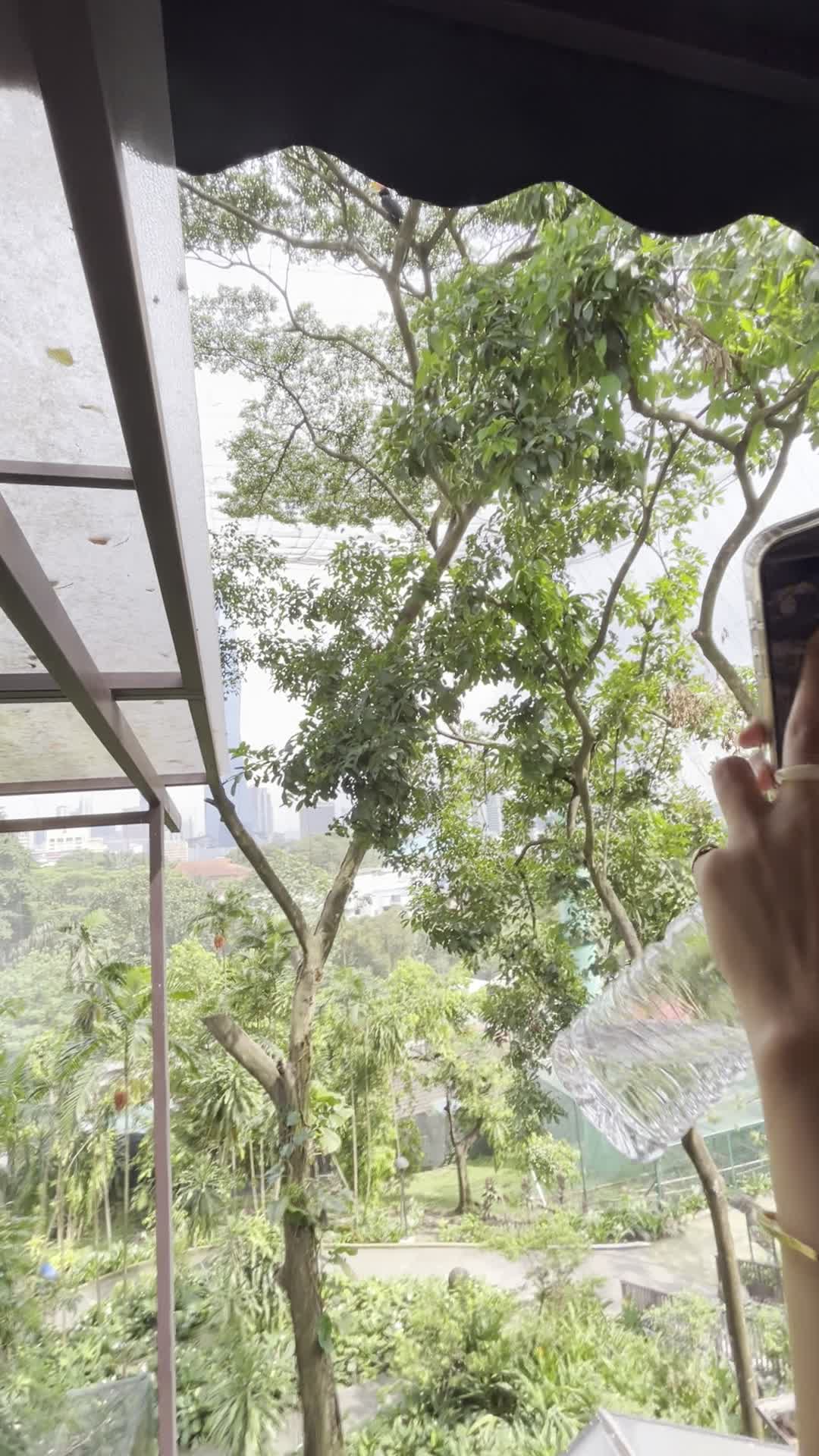 緑がきれいだなぁ～