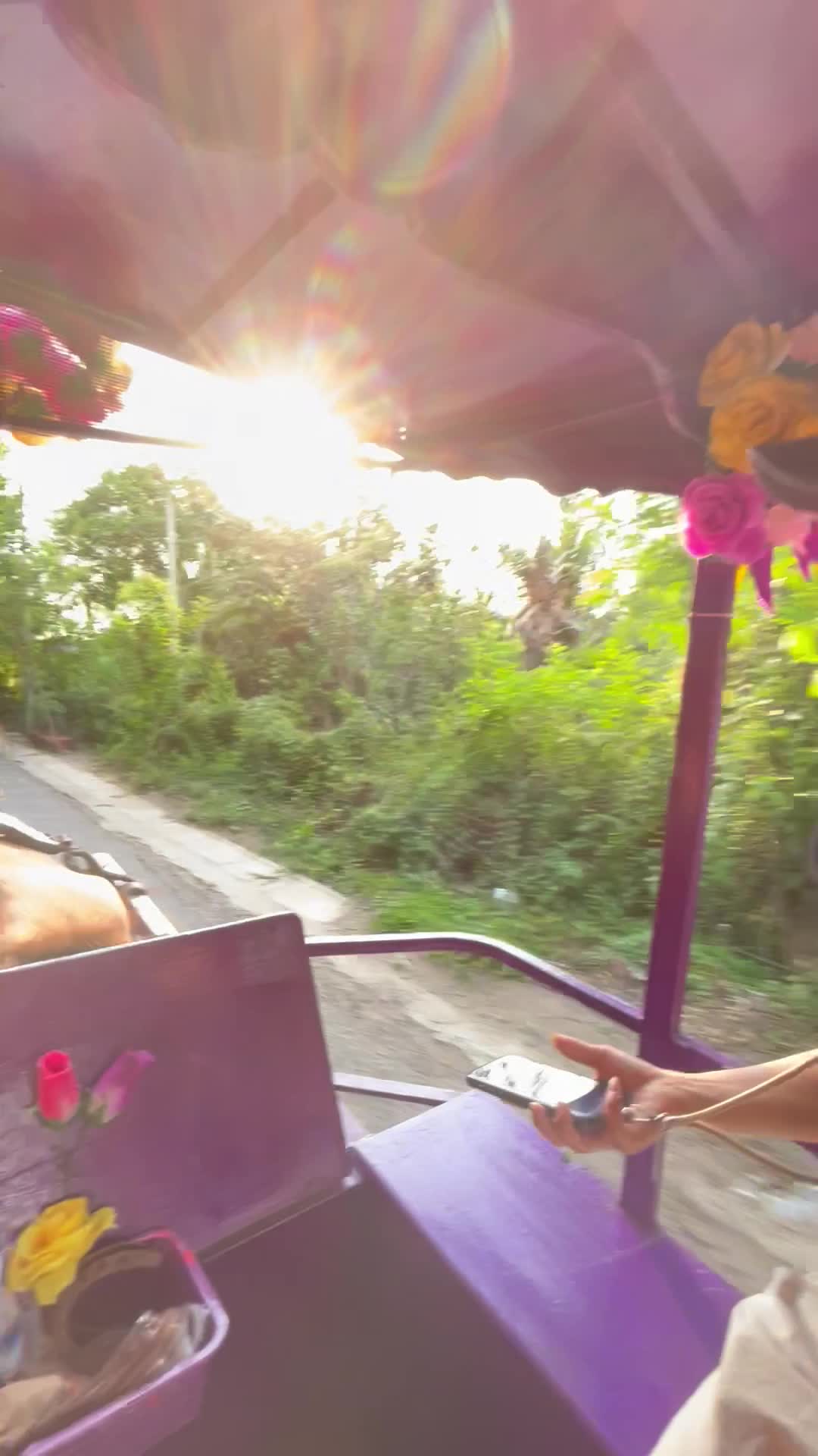 お馬さんに引っ張ってもらう様子