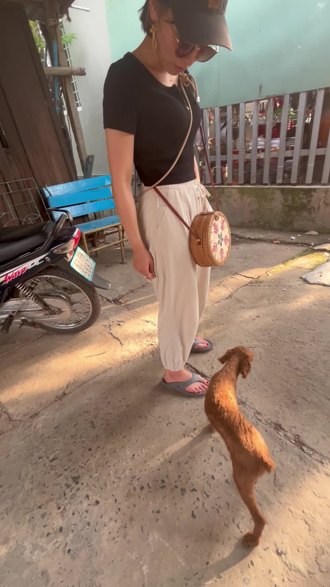 ワンちゃんについていく様子