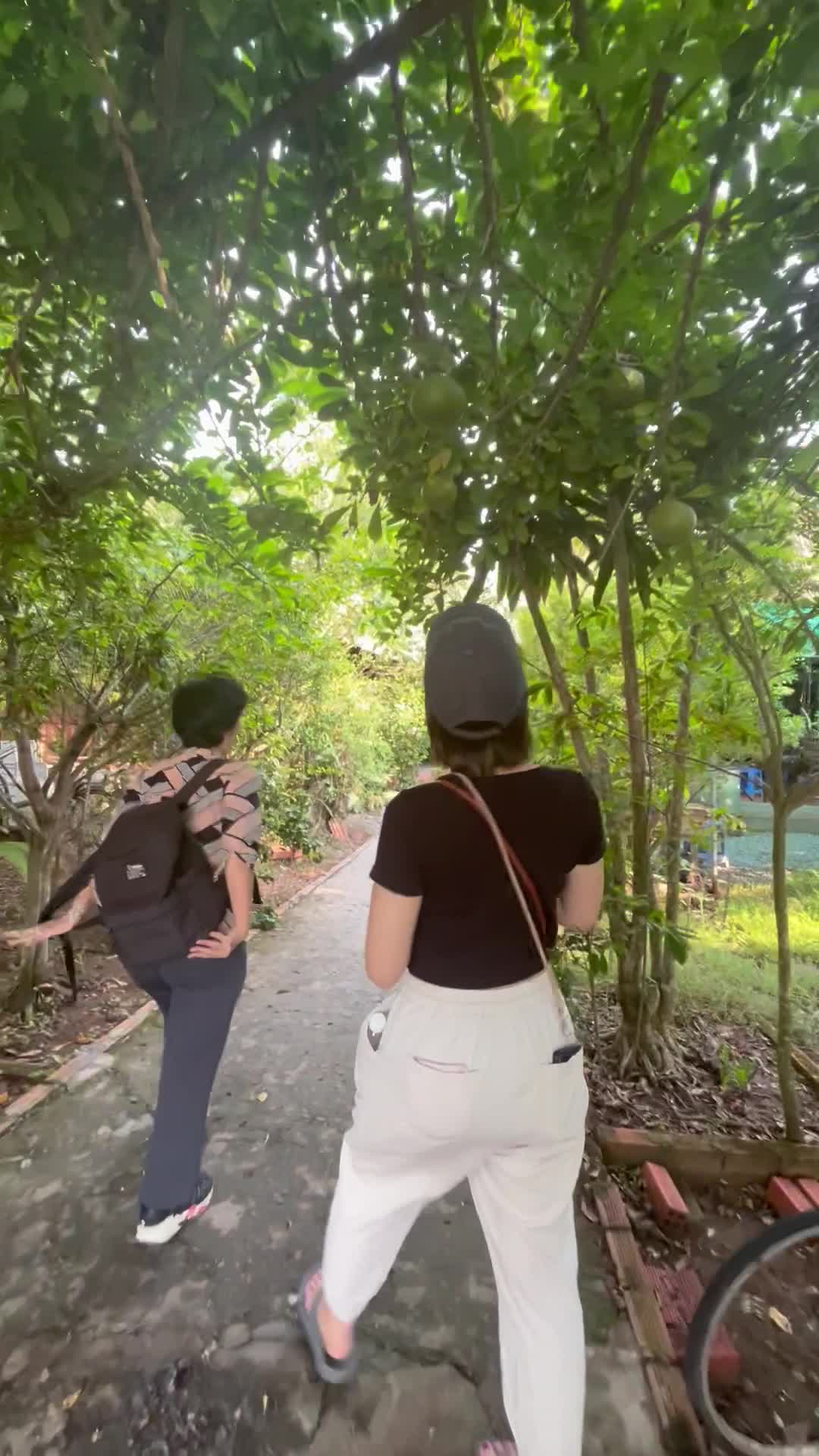 木の実に一瞬気を取られる様子