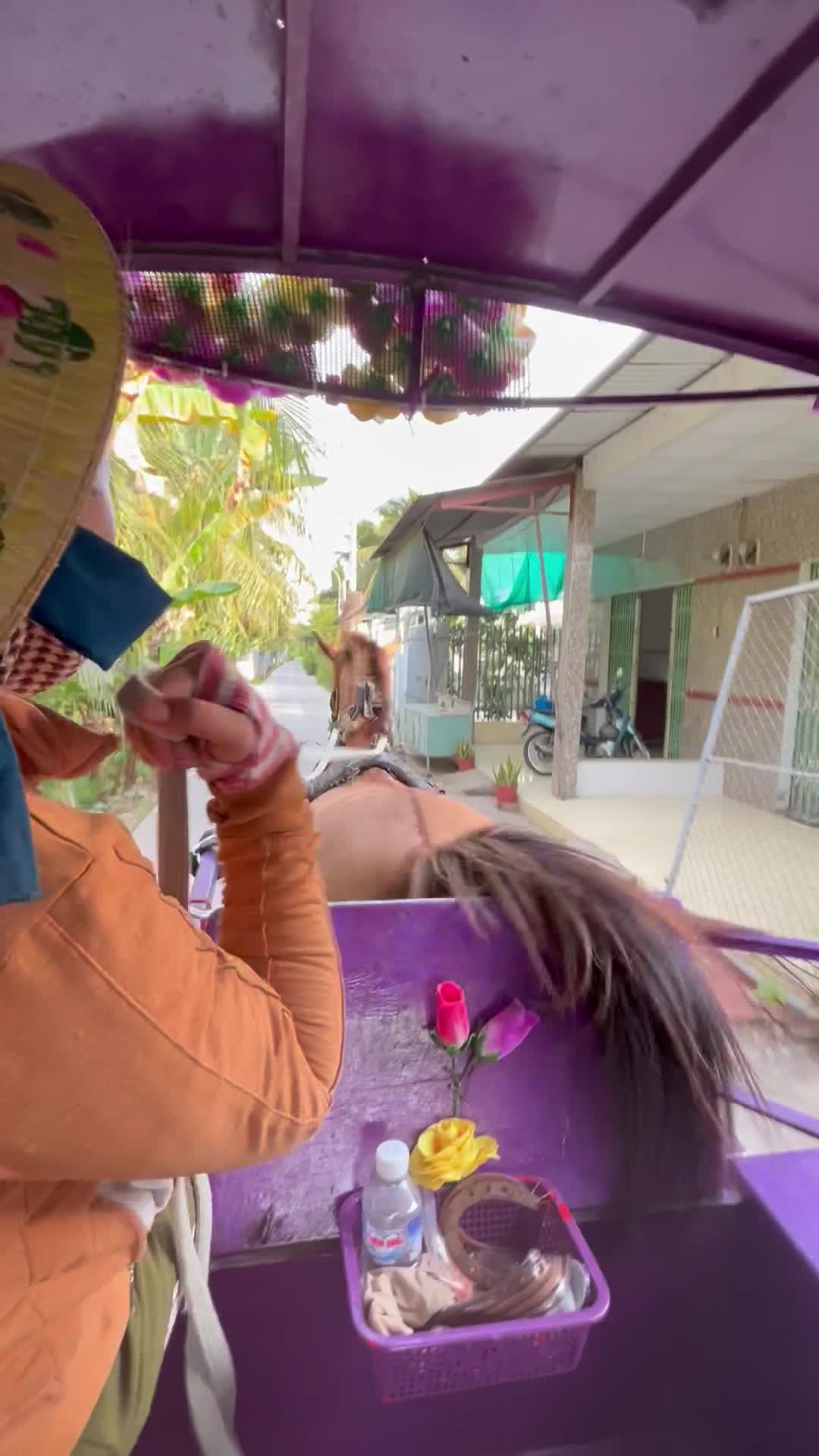 馬車が想像以上に早くてびっくり