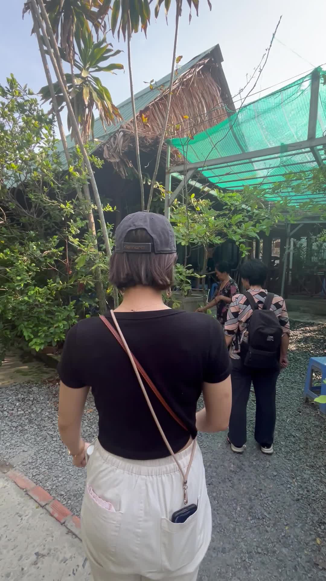 虫が飛んできてびっくり