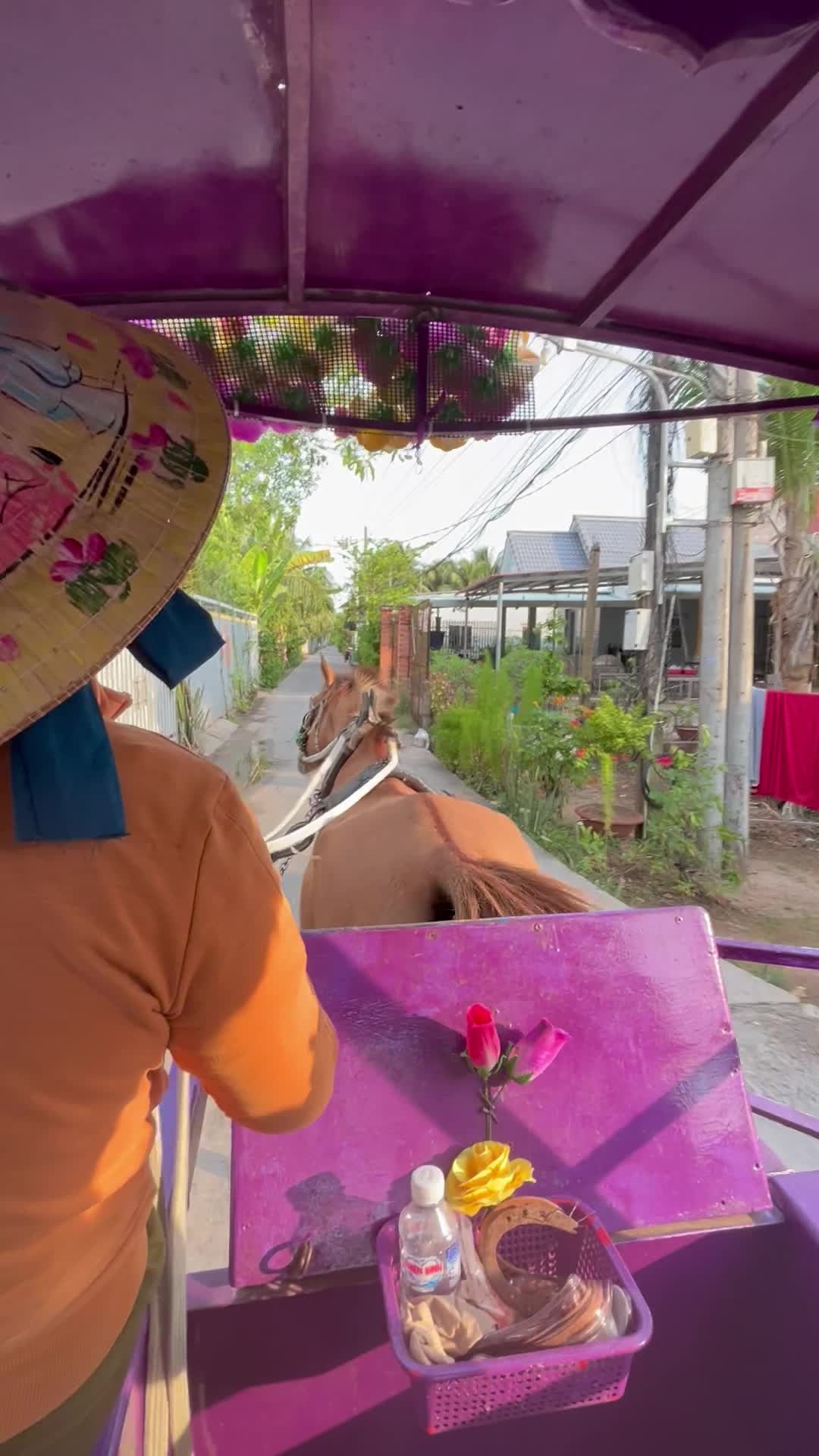 馬車に乗る様子