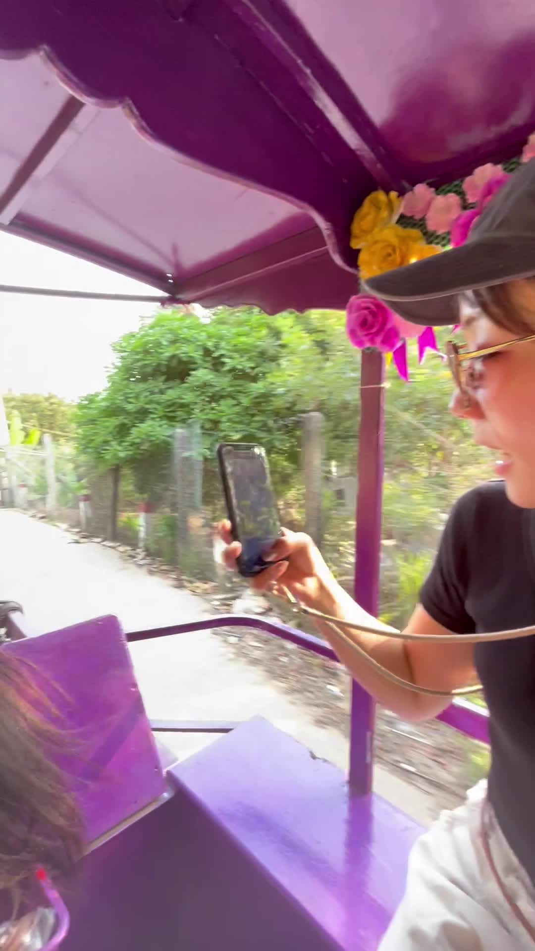 鬣が風になびくお馬さん