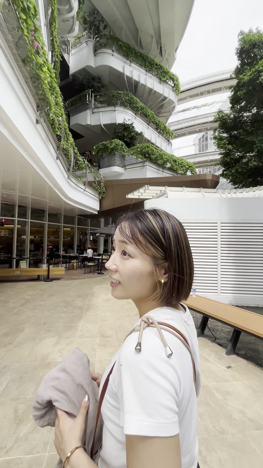 中に入ってみよっか！