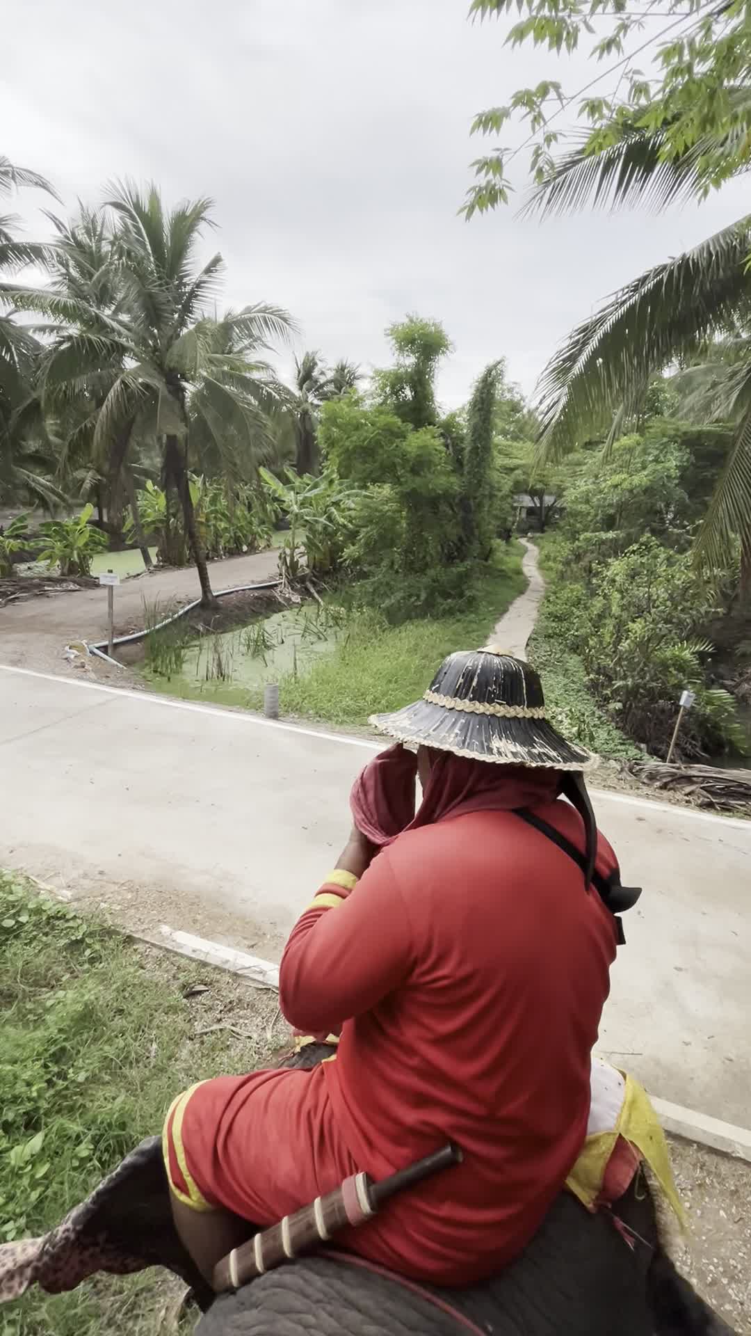 小道から大通りへ（象乗り中）