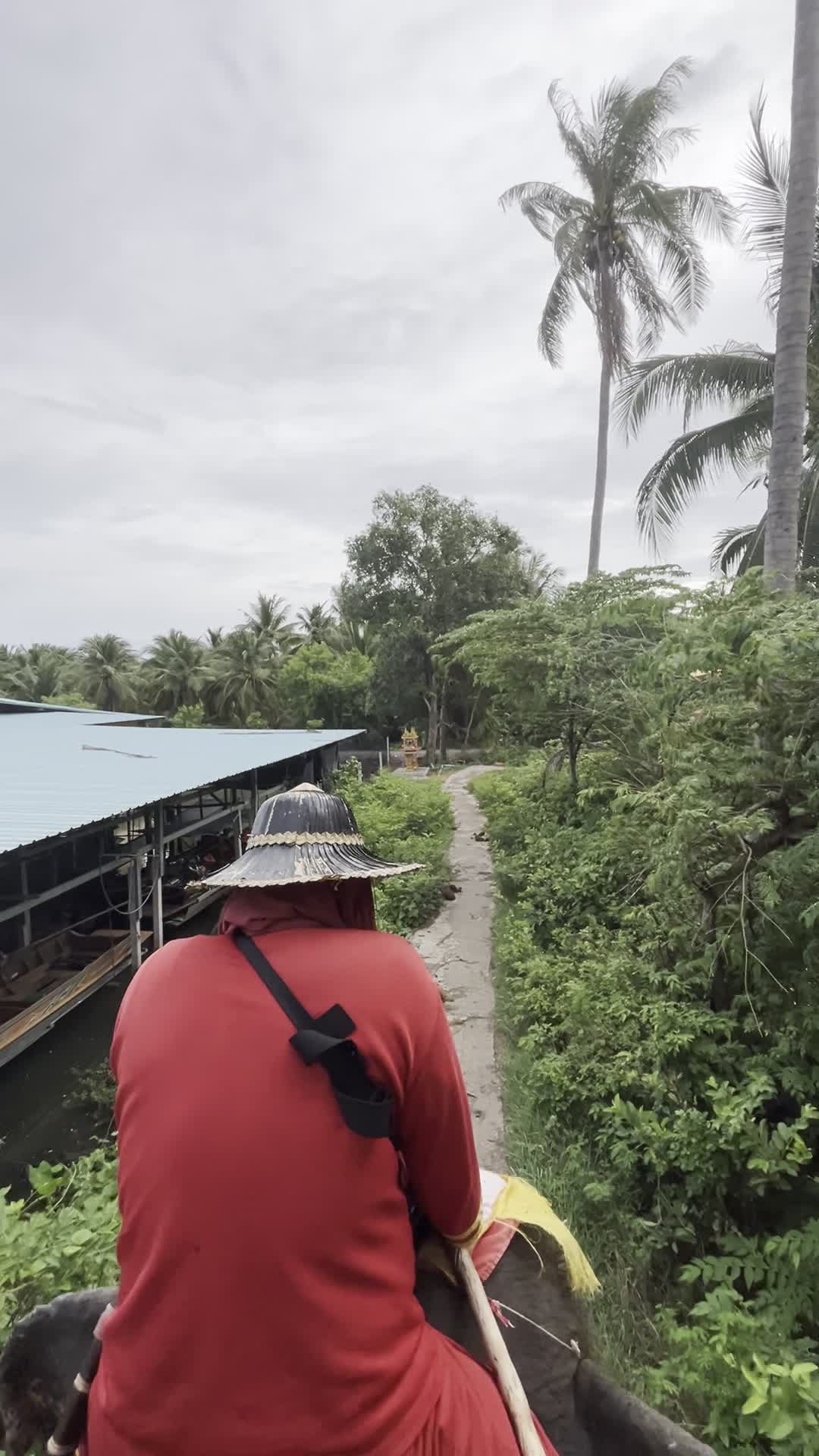 象に乗った目線（象乗り中）