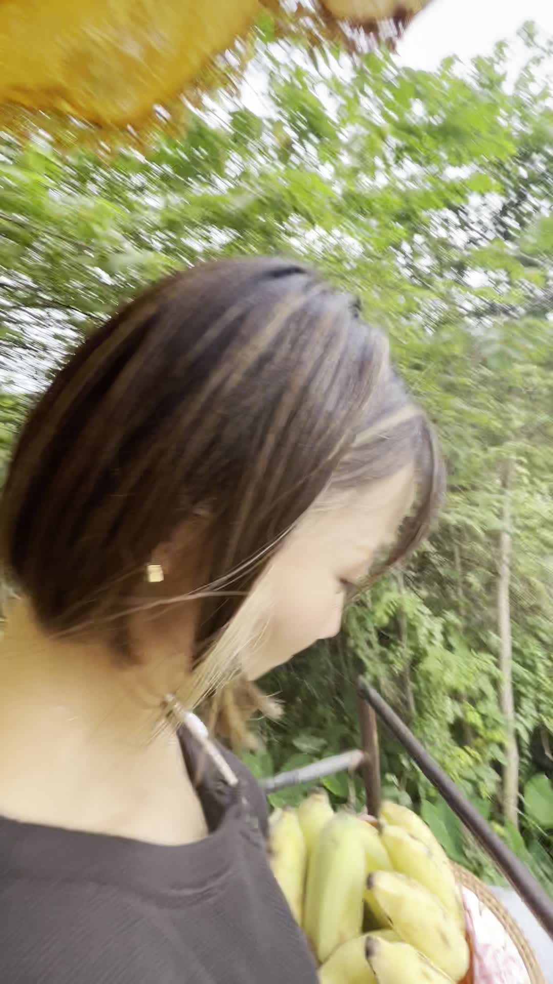 象に乗って揺られる様子（象乗り中）