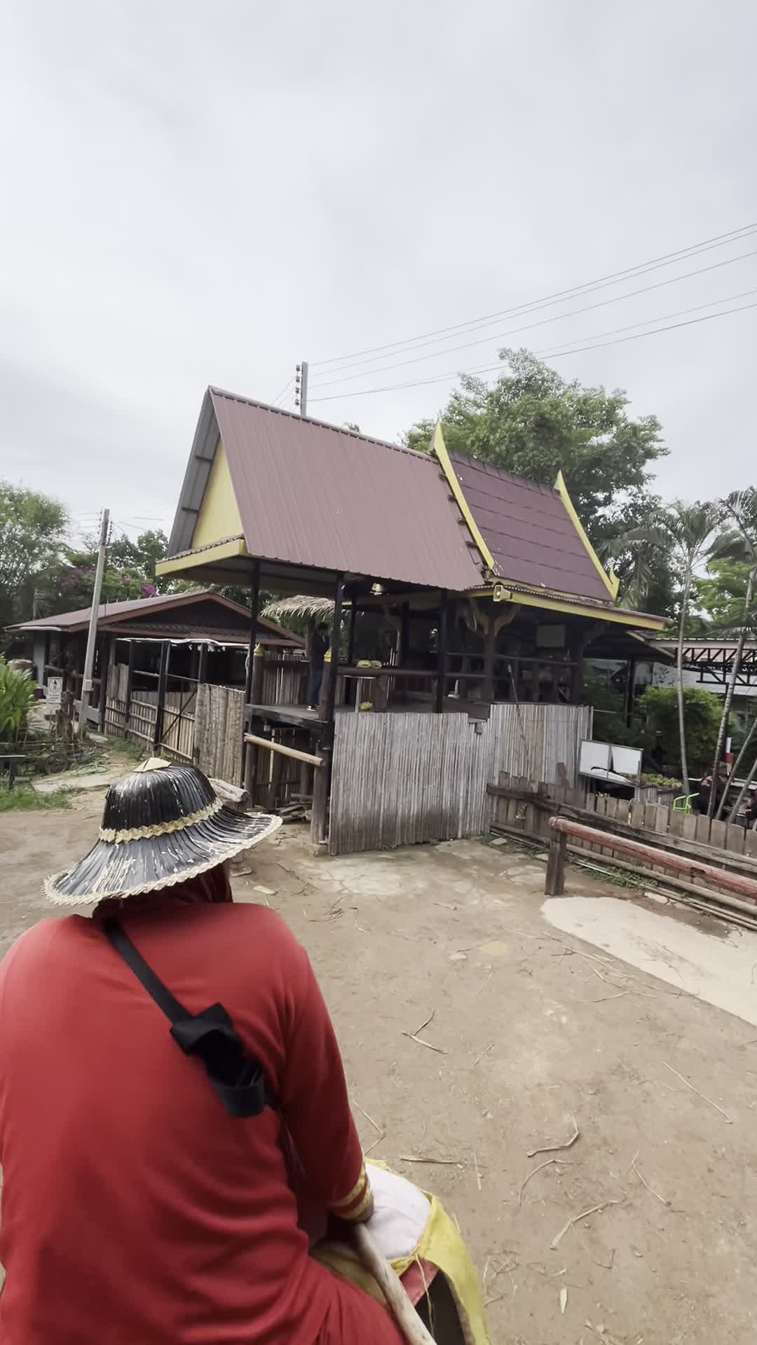 象のおうち（象乗り中）