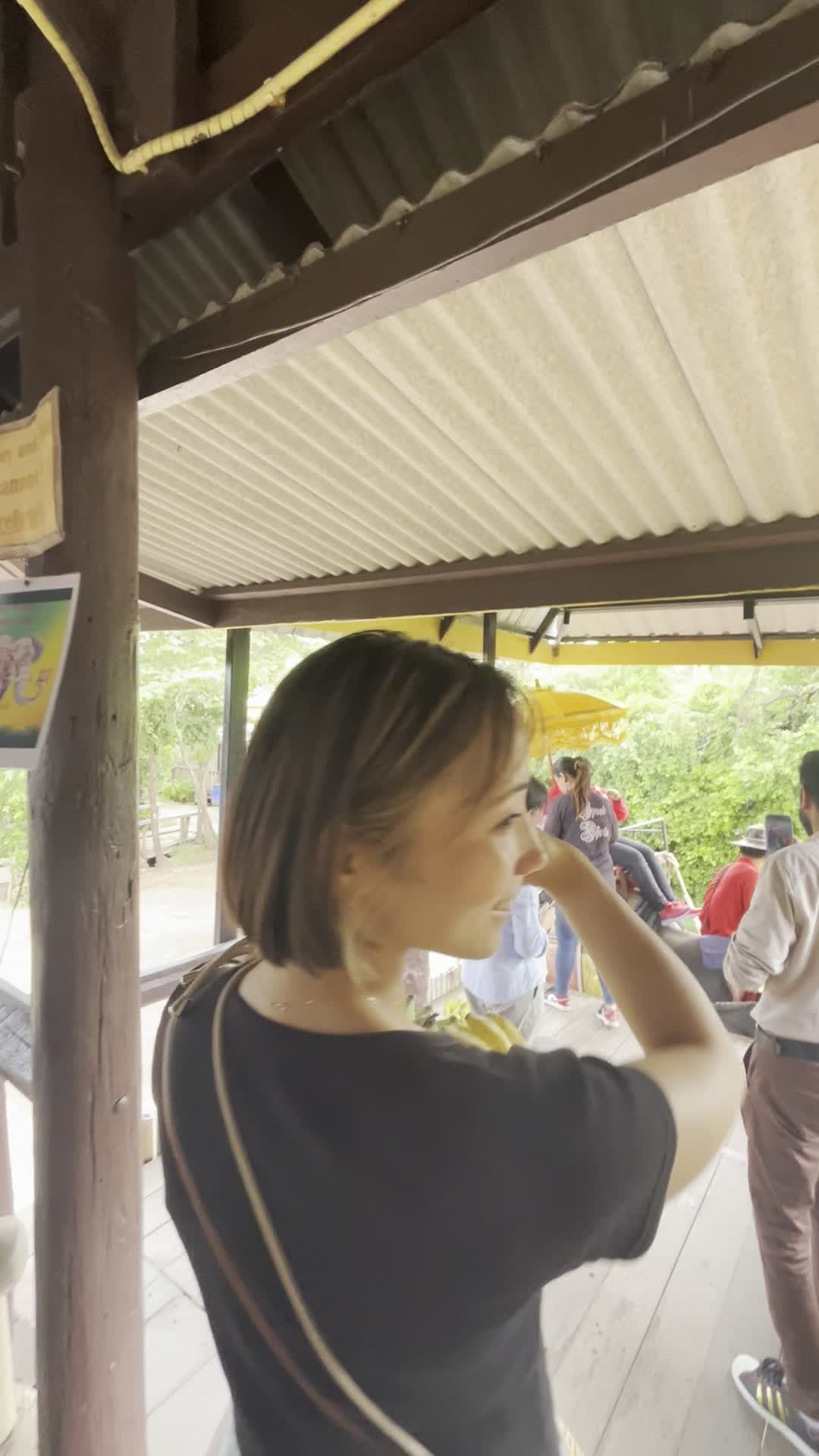 象を待ってる様子