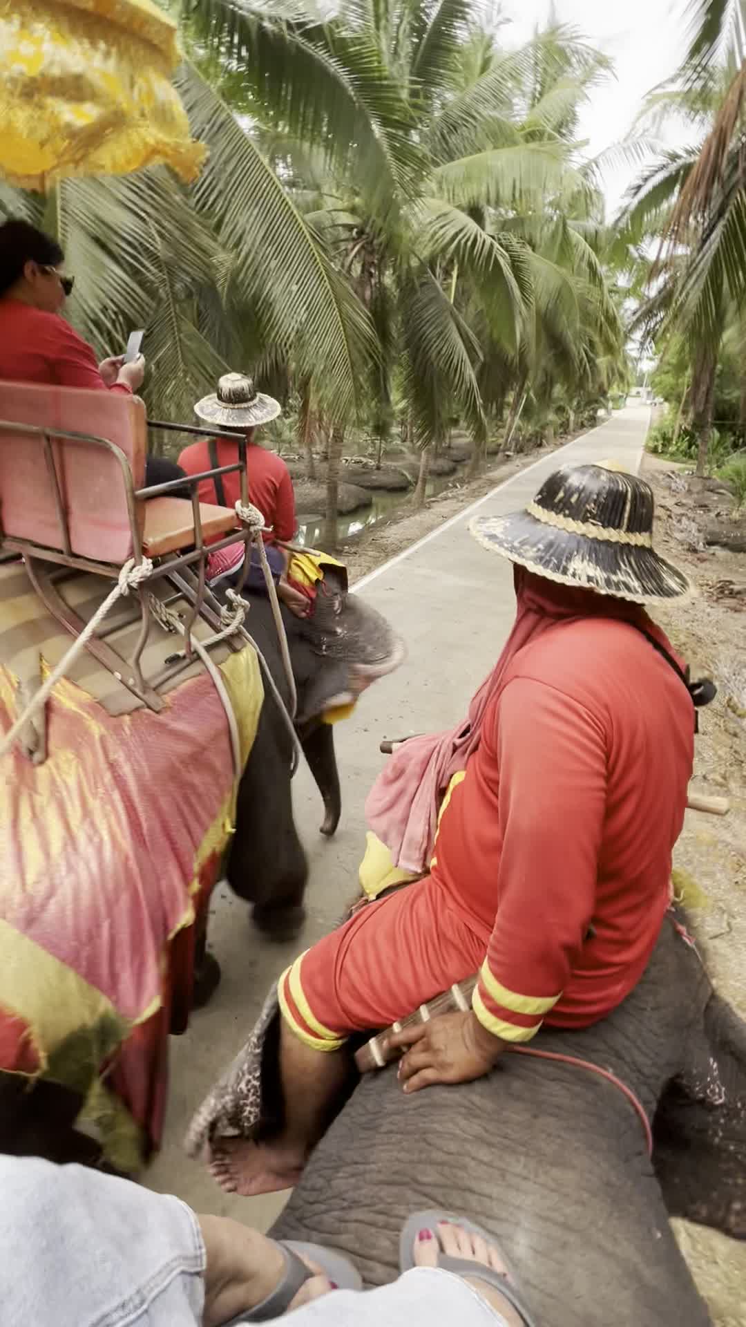 象合流（象乗り中）