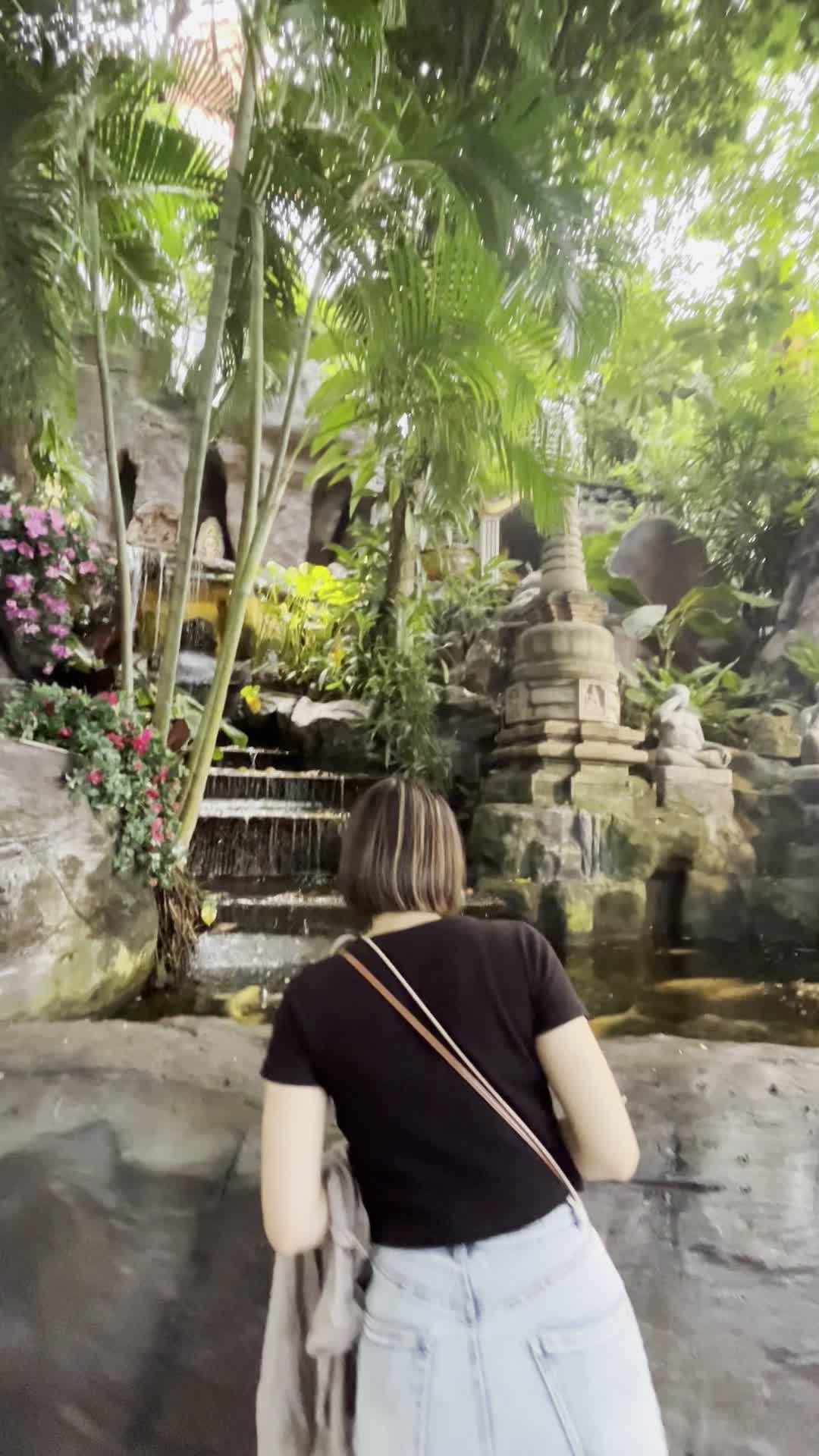 鯉がいっぱいいるね