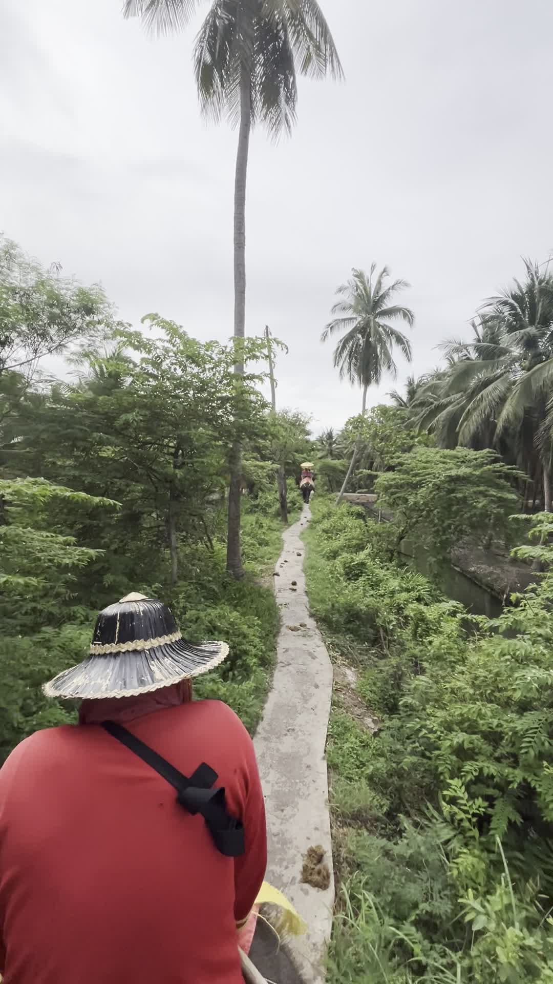 細い道を歩く（象乗り中）