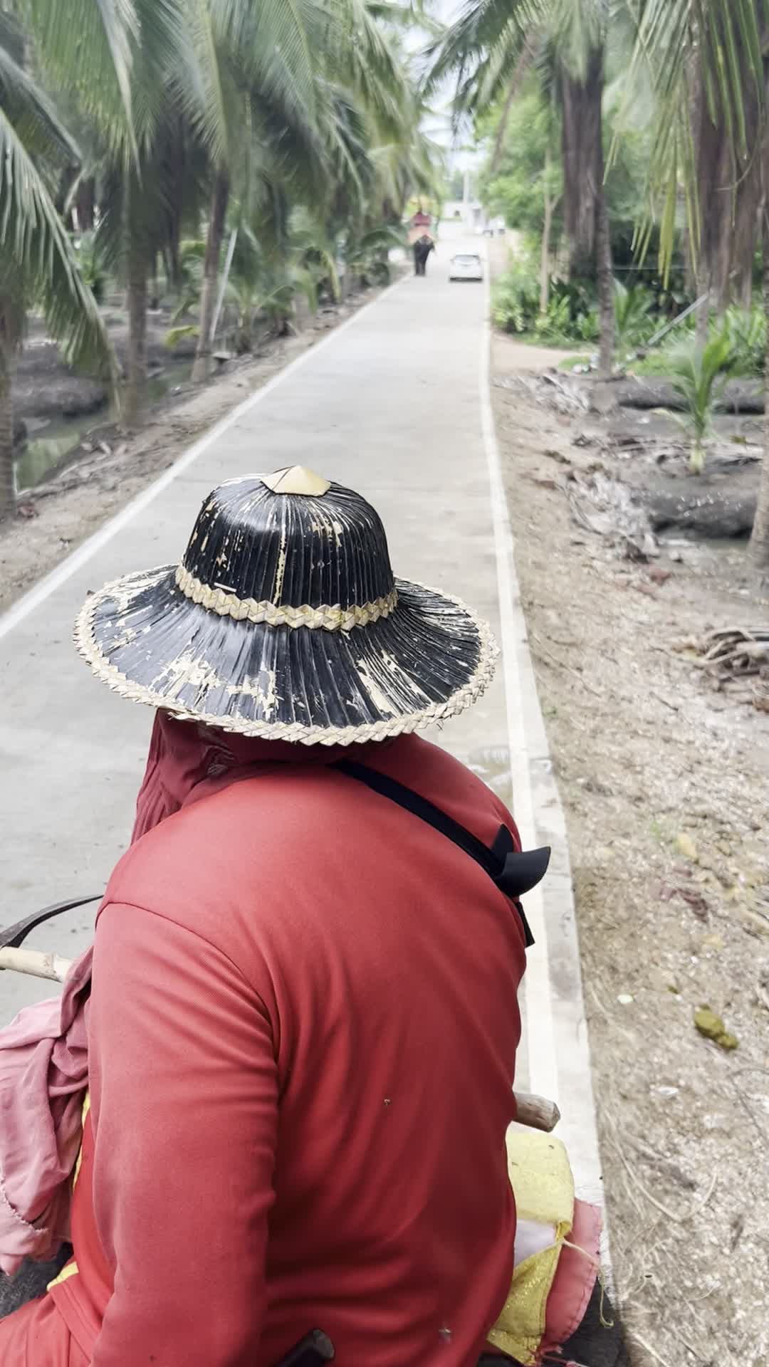 遠くに他の像が！（象乗り中）