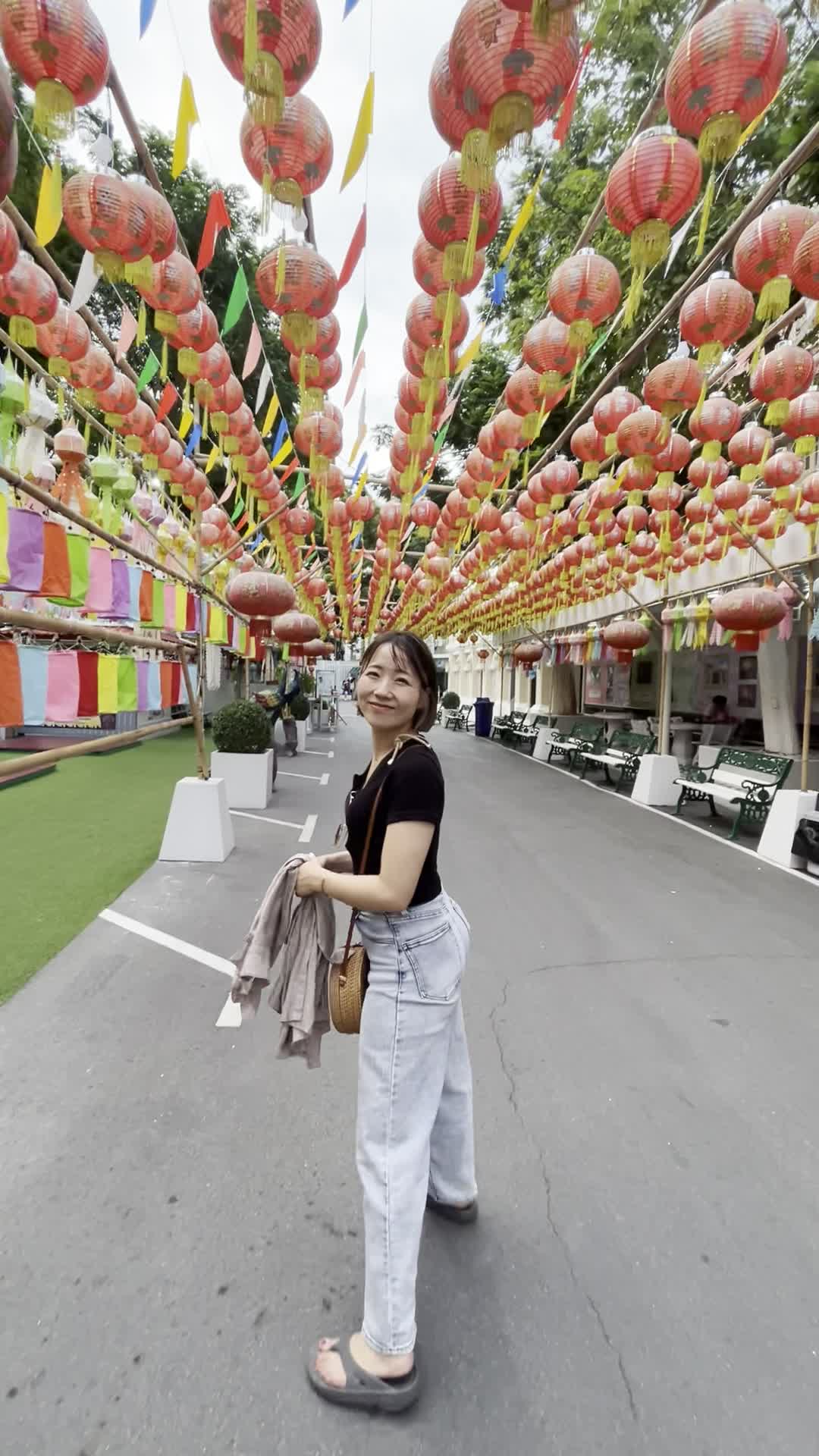 まだ先に続く提灯