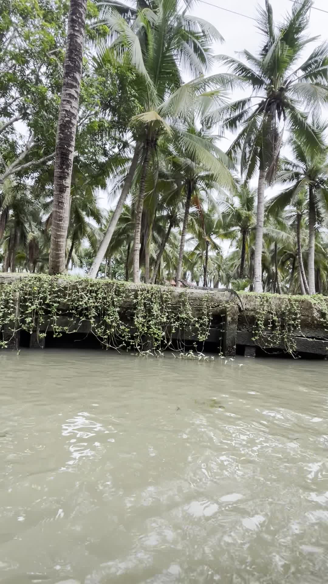 ボートからの景色