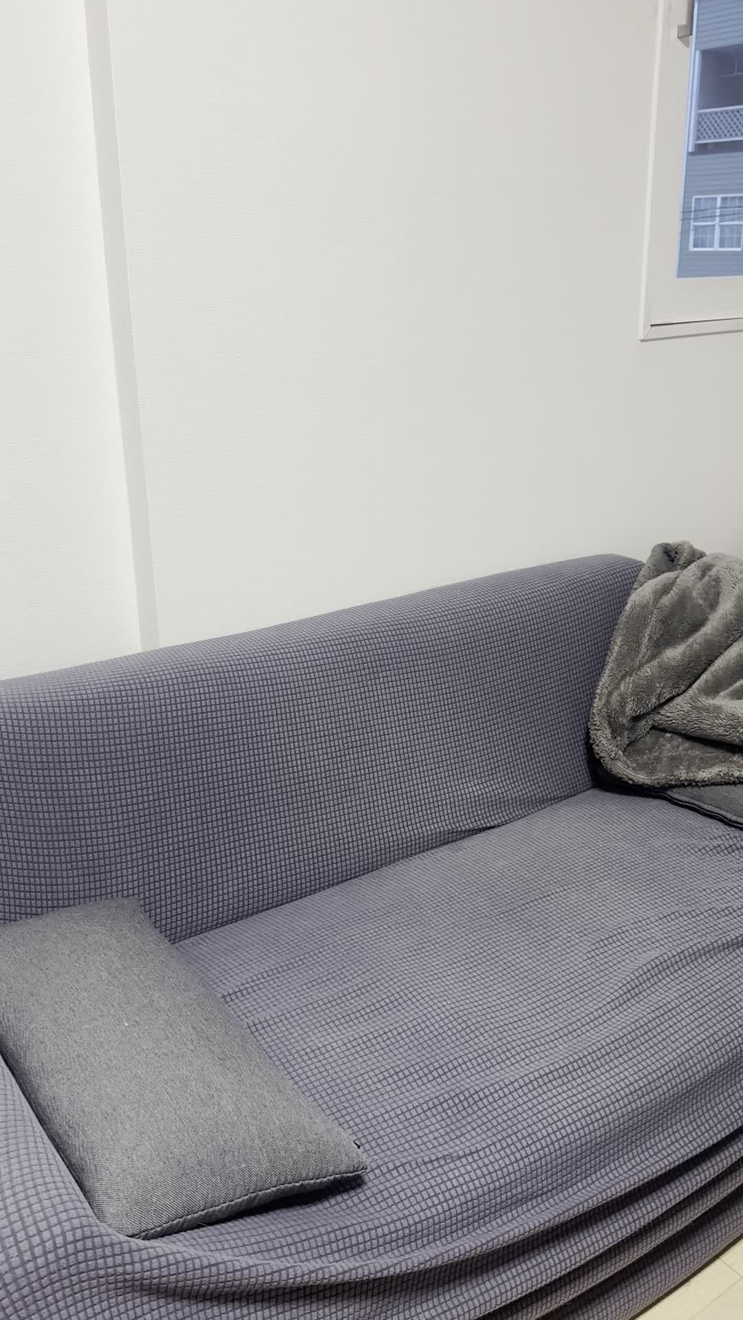 ソファに座り、スマホを見つめながら軽くため息をつき、また微笑む様子