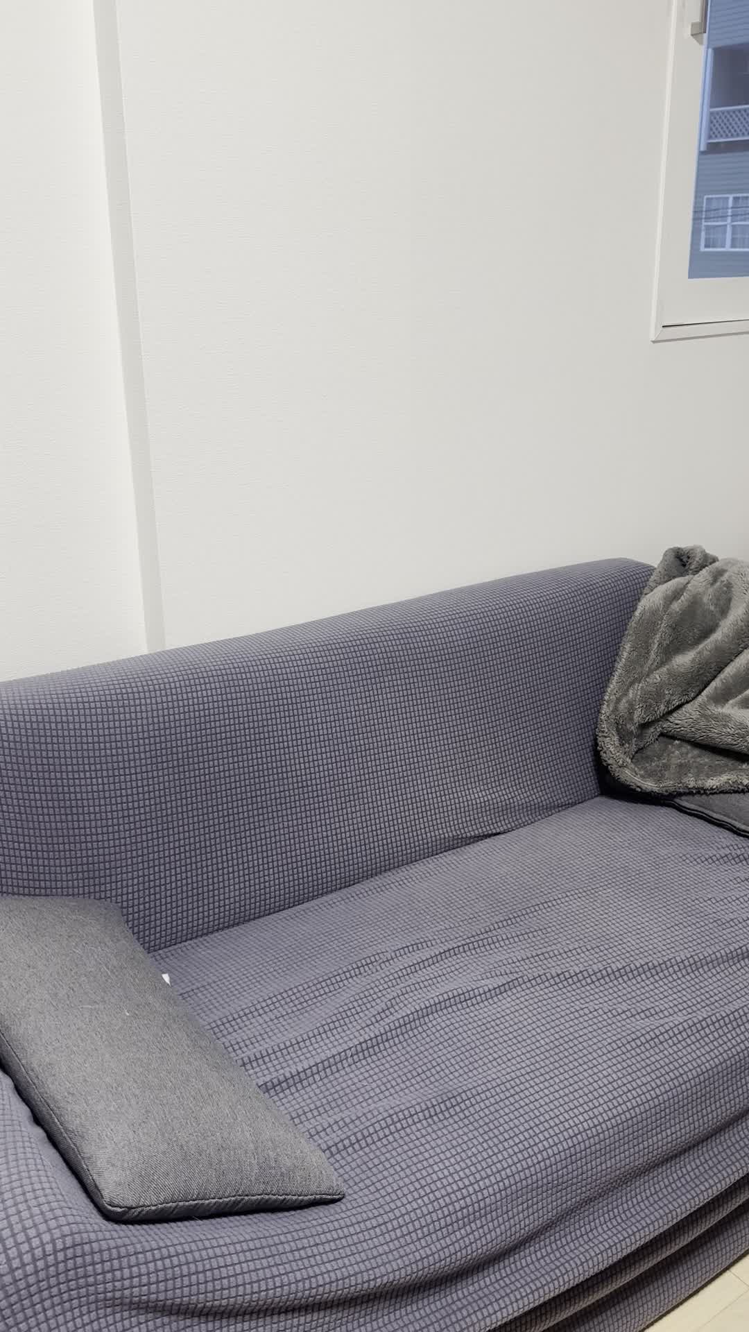 ソファでカフェの場所を確認し、「これなら迷わず行ける」と納得する仕草