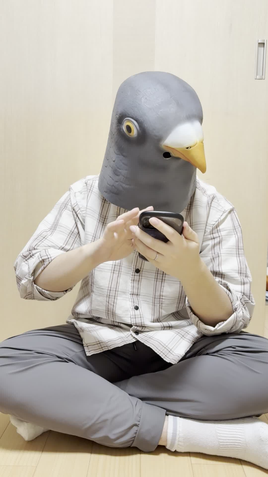 床に座り込み、スマホで商品画像を見て「このデザイン素敵！」と微笑む仕草