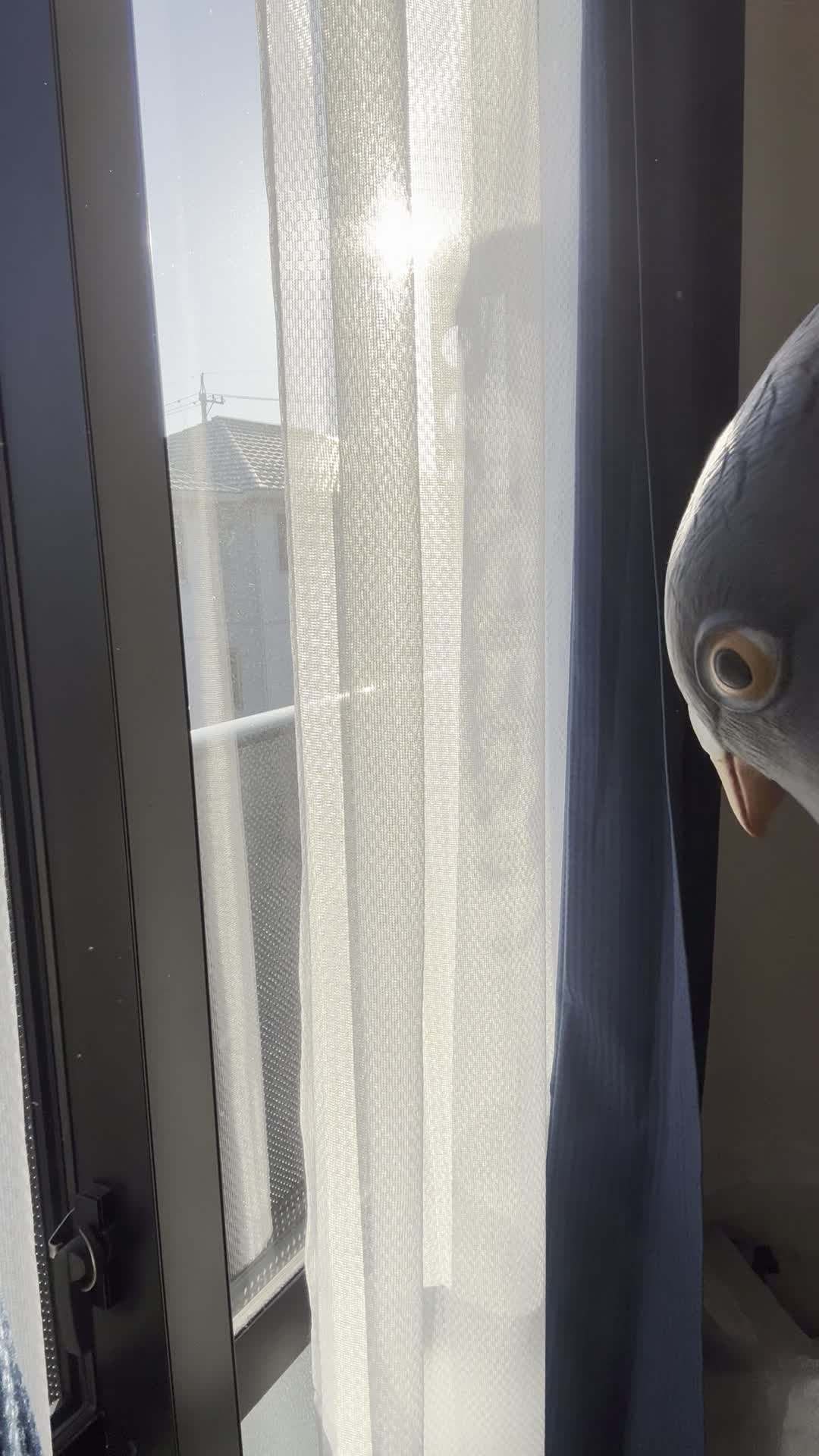 窓の鍵をゆっくり回して開閉する仕草