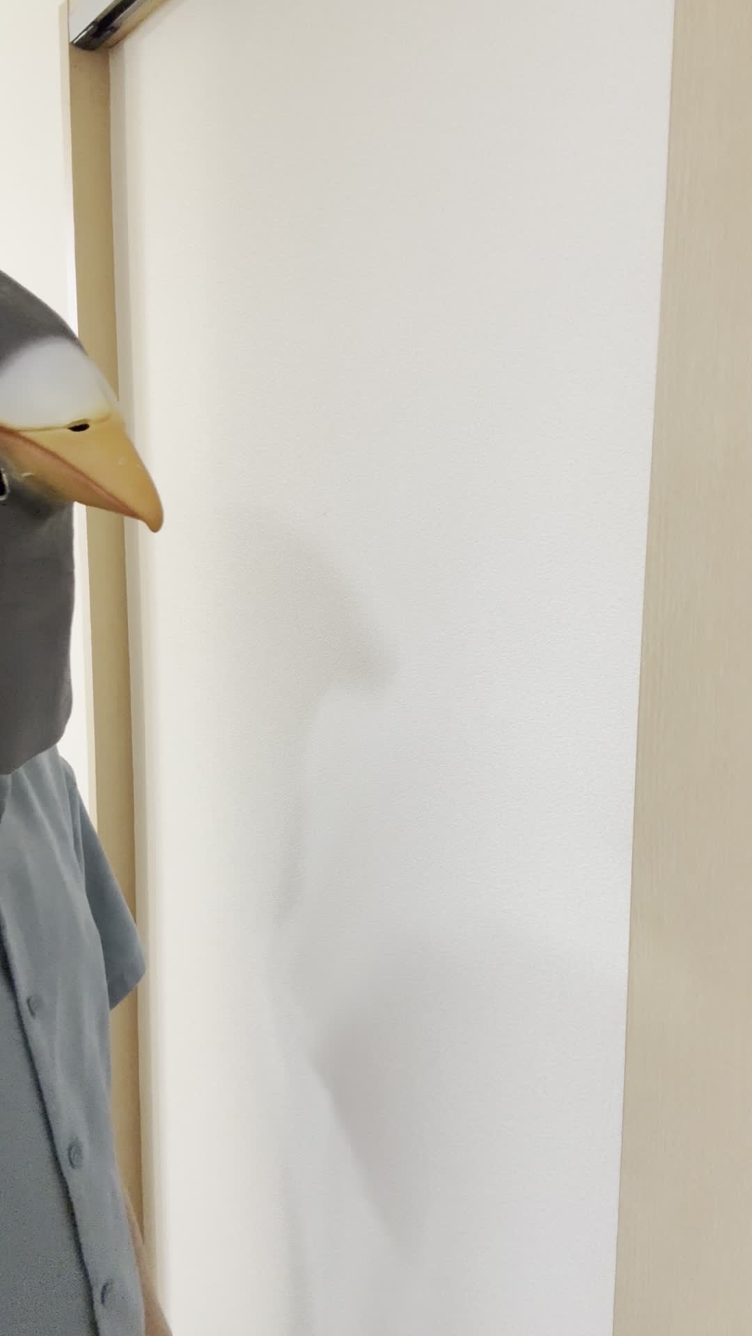 壁に近づいて軽くノックしながら耳を傾ける