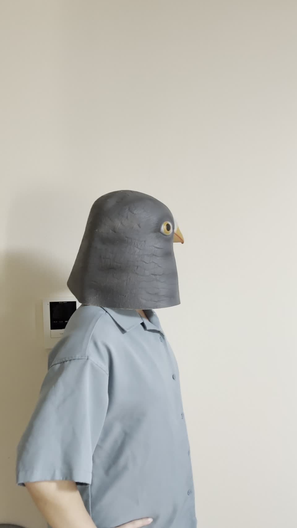 両手を腰に当てて部屋全体を眺め回している