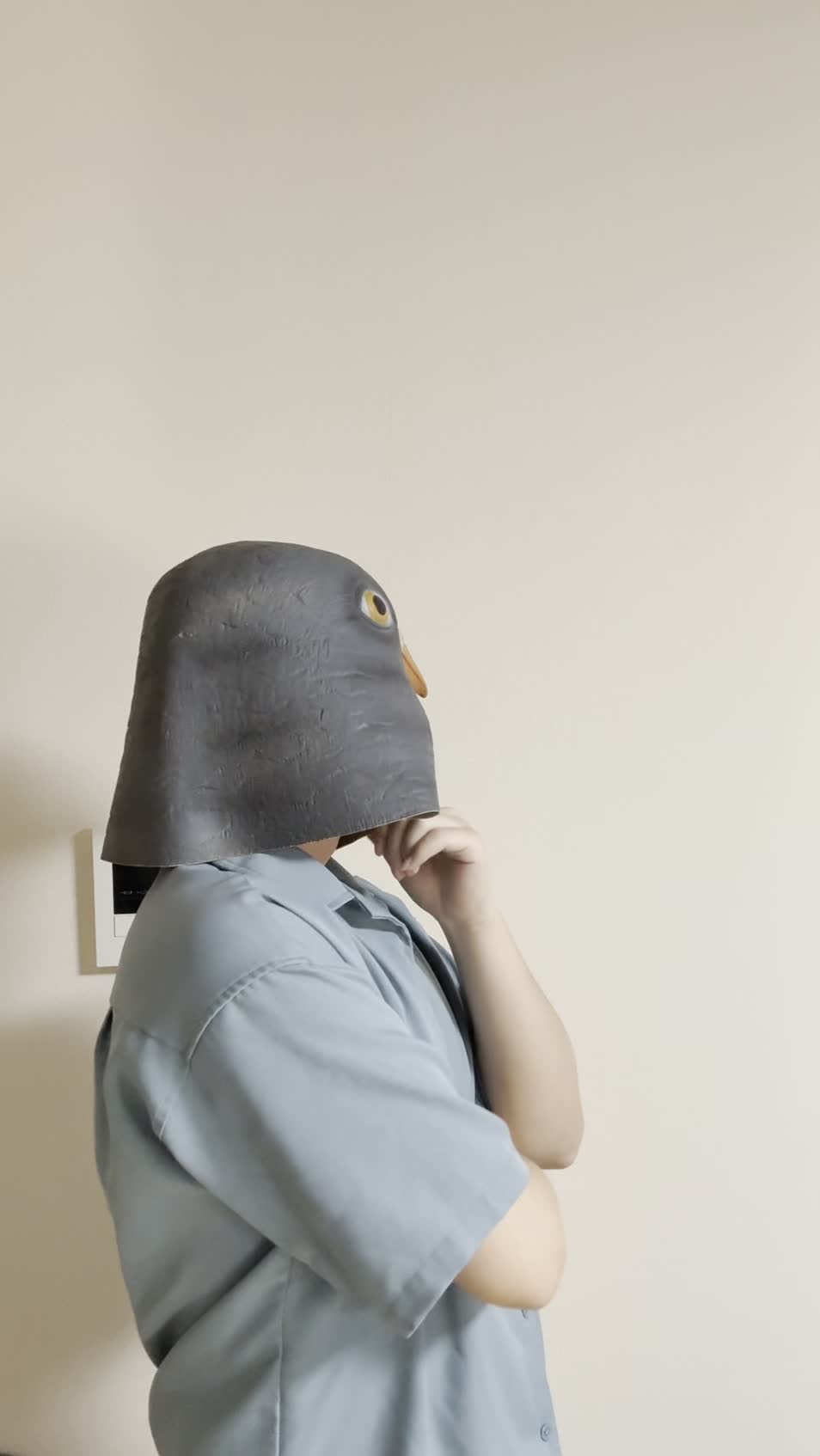 手を顎に当てて、考え込むように部屋を見回す