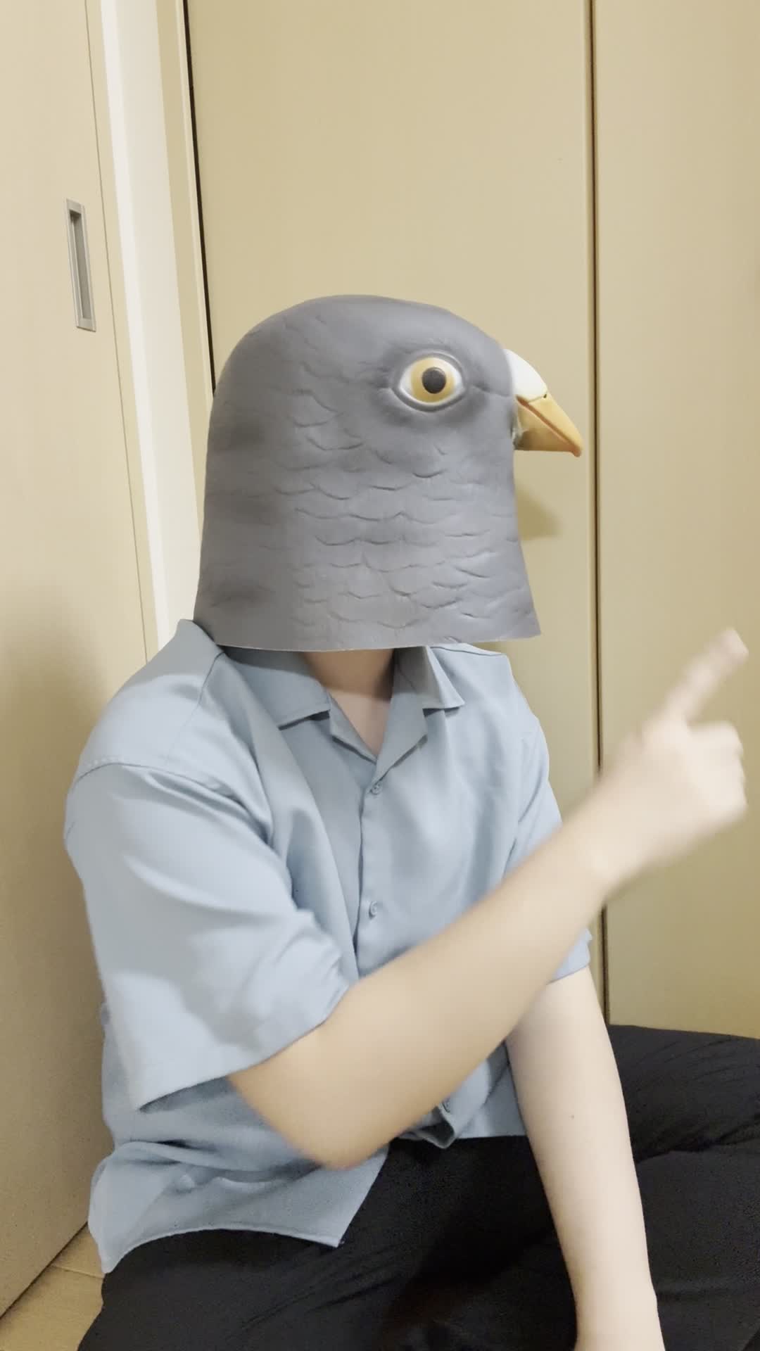 部屋の片隅でしゃがみ込み、何かを探しているような動作